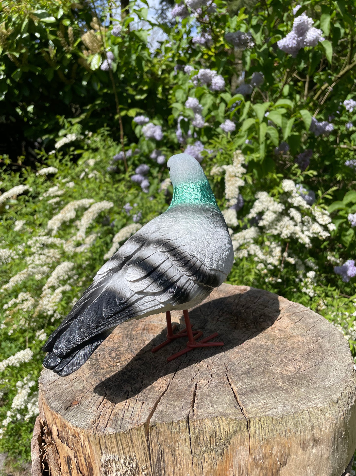 Beeld Postduiven grijs links tuin, vijver, boerderij, dierentuin 26cm