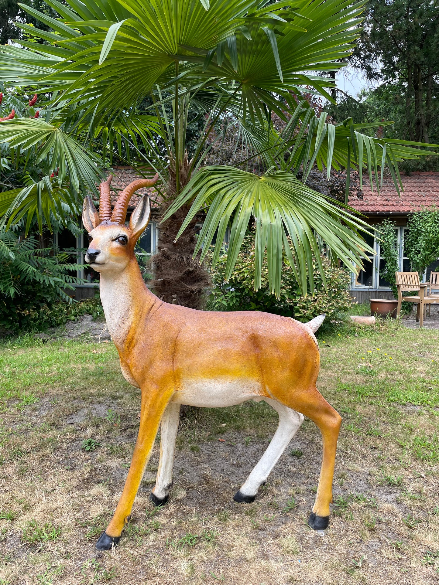 Tuinbeeld antilope , gazon, tuin, dierentuin, 130cm