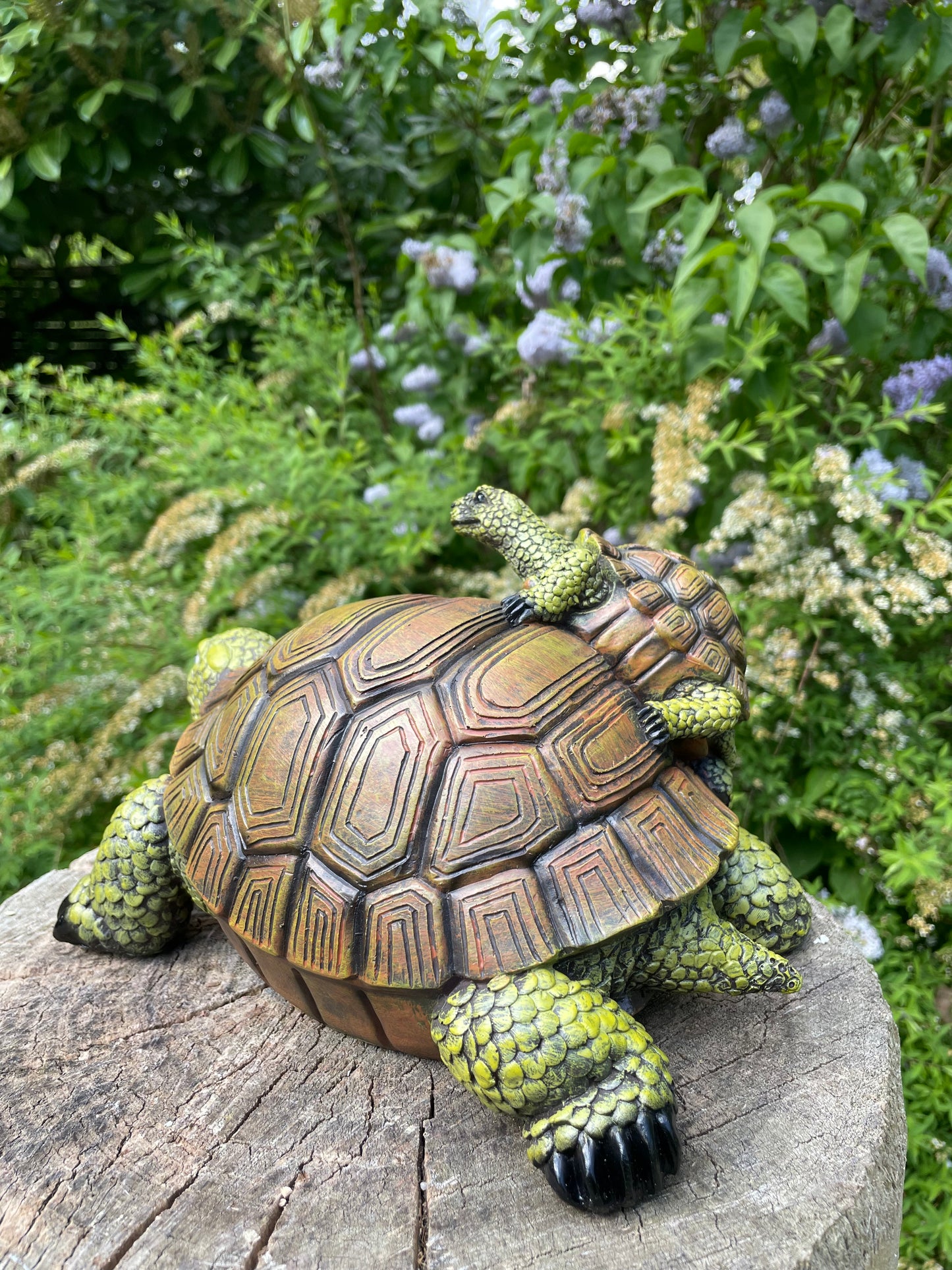 Beeld schildpad, baby gazon, tuin, vijver, 30 cm