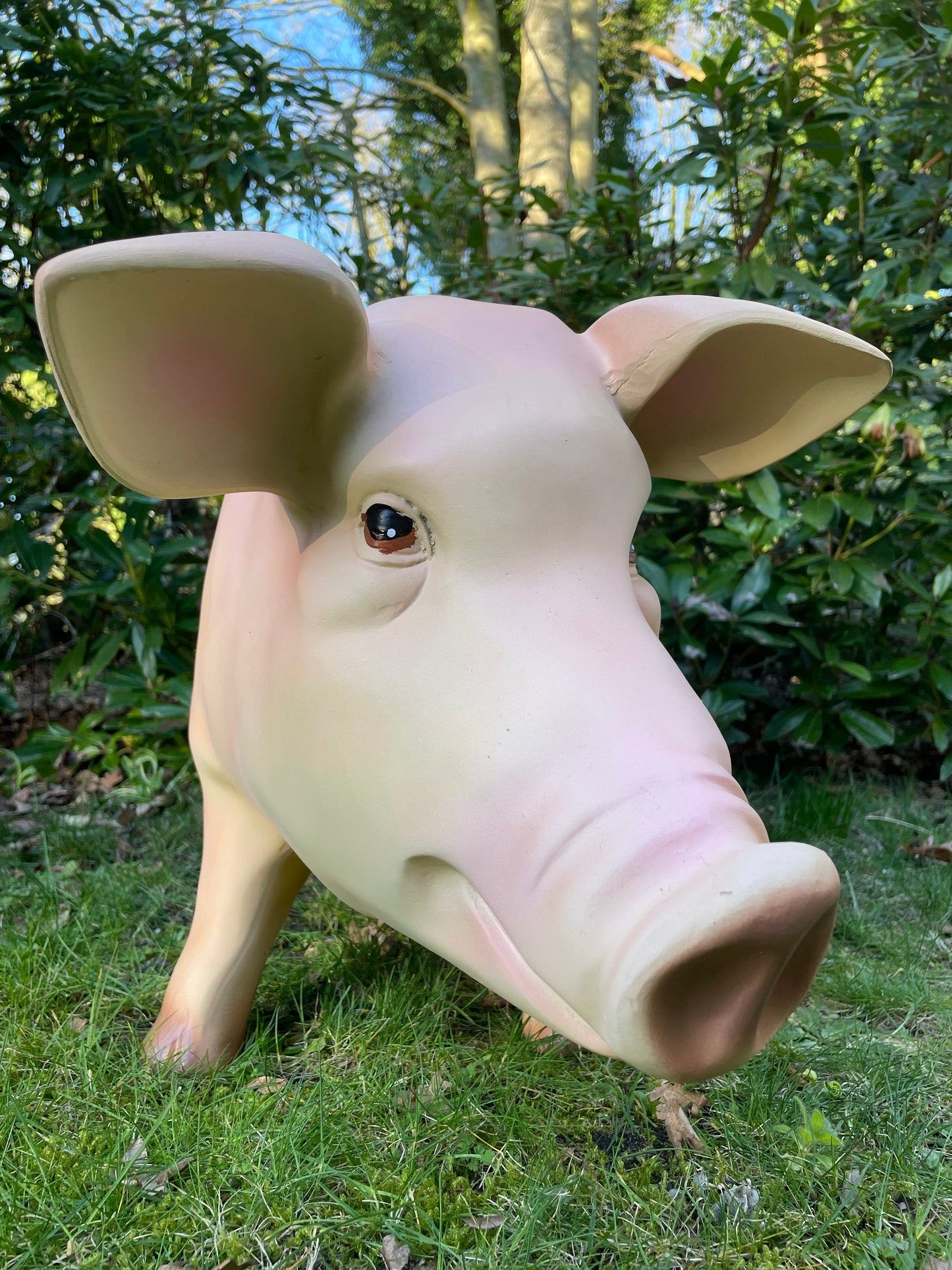 (Tuin)Beeld varken, tuin, gazon, manege, boerderij 100cm