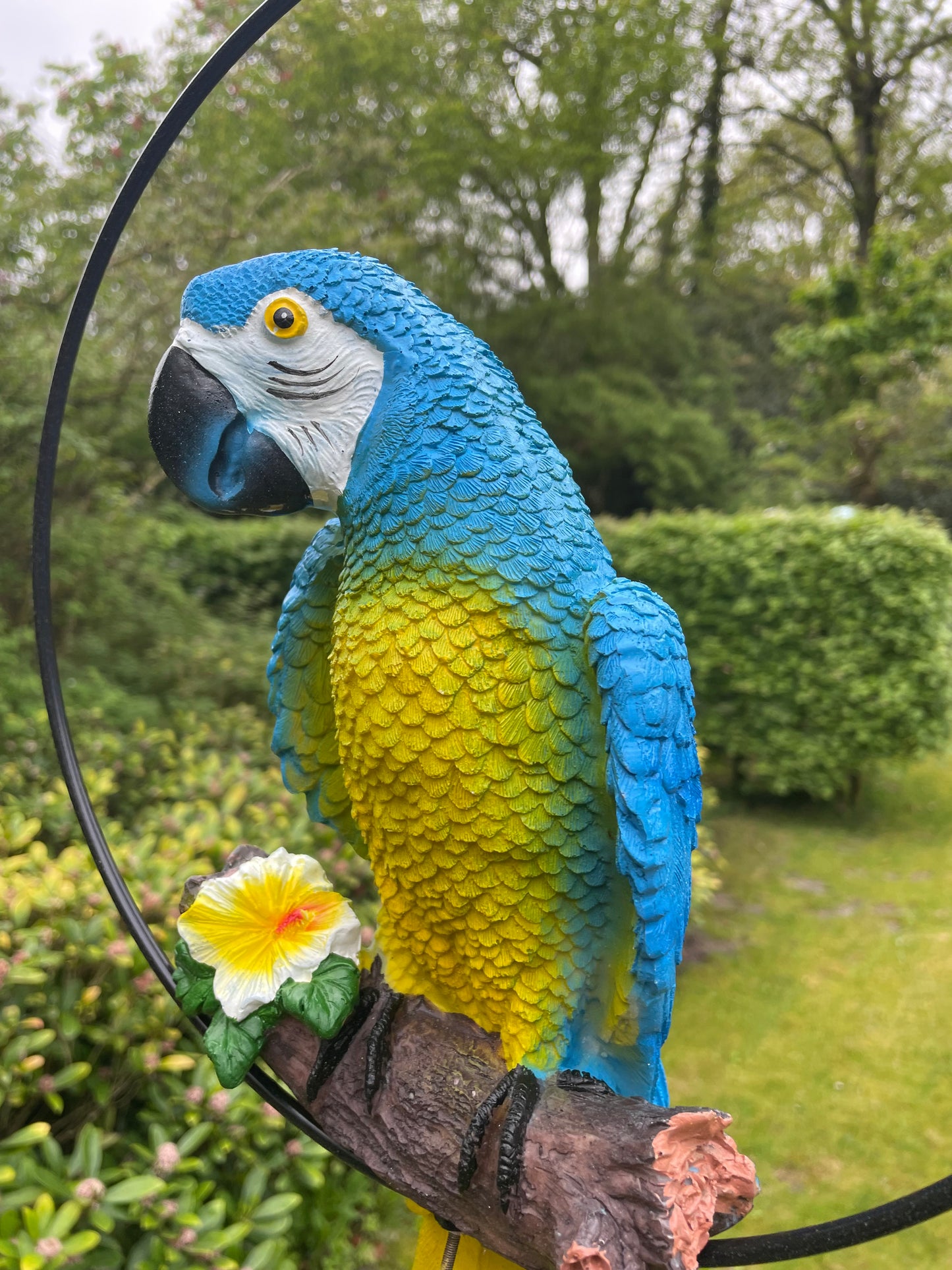 Beeld papegaai Blauw tuin, zwembad, vijver, balkon 50cm