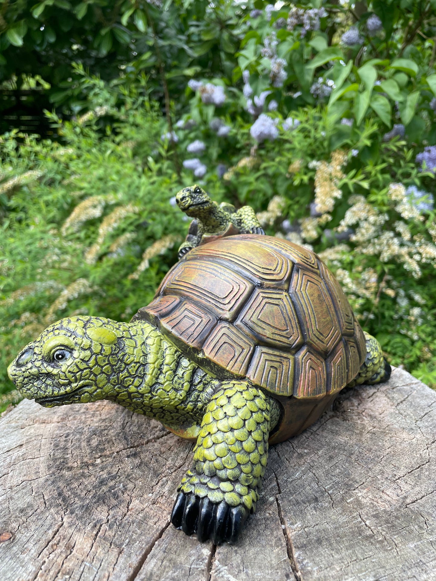 Beeld schildpad, baby gazon, tuin, vijver, 30 cm