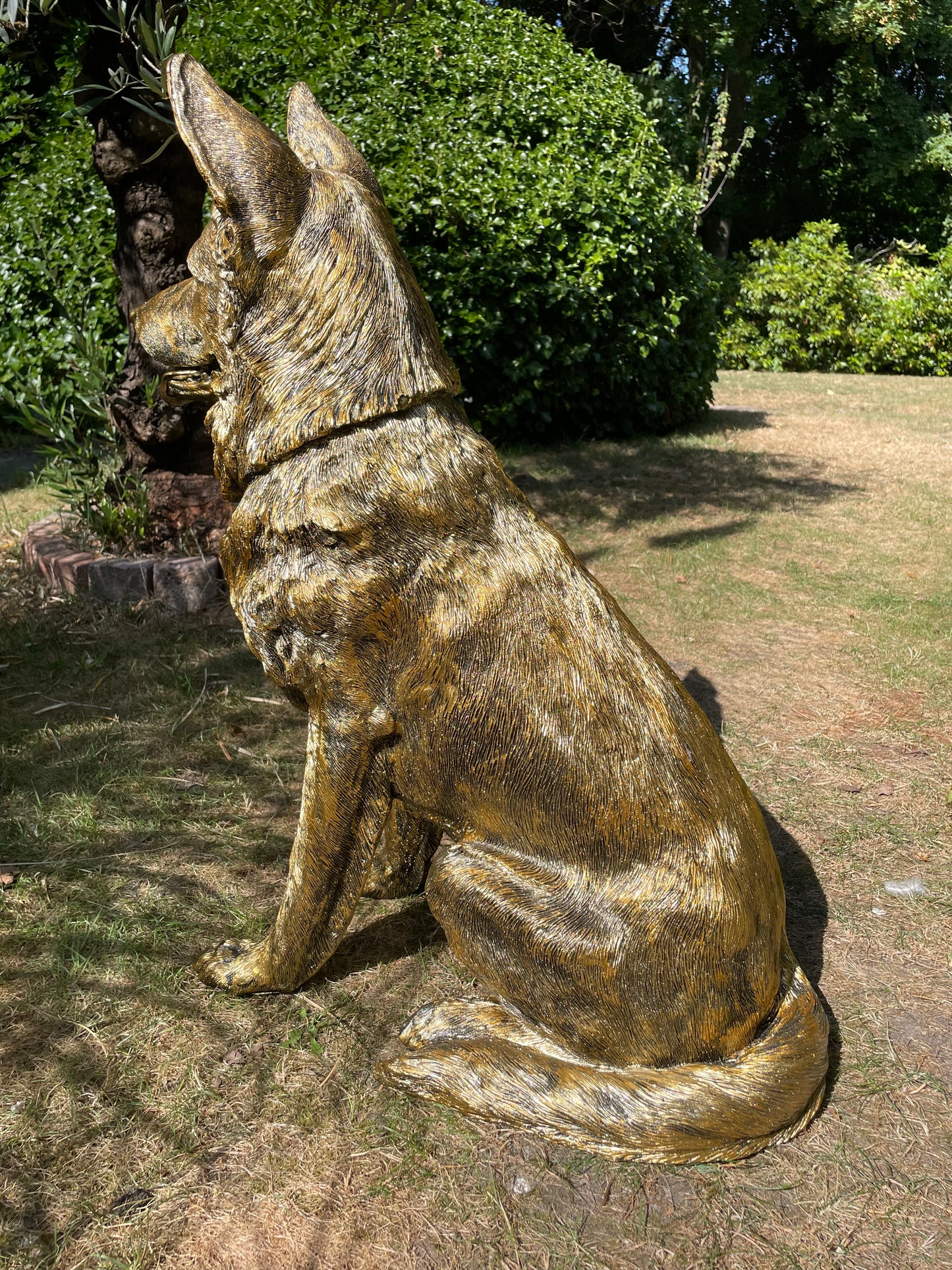 (Tuin)Beeld Duitse herder, honden, tuin, vijver, 75 cm
