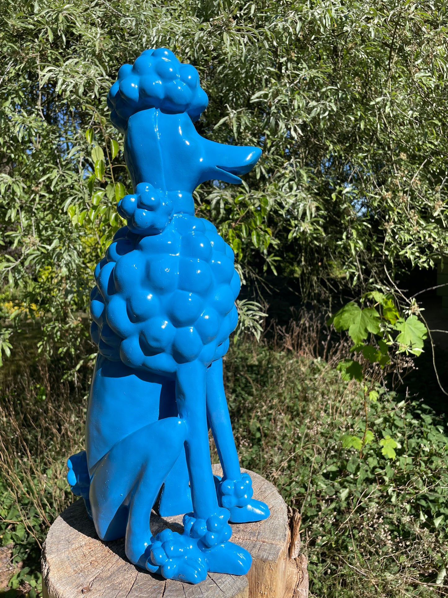 hond poedel blauw abstract, tuin, gazon  60cm
