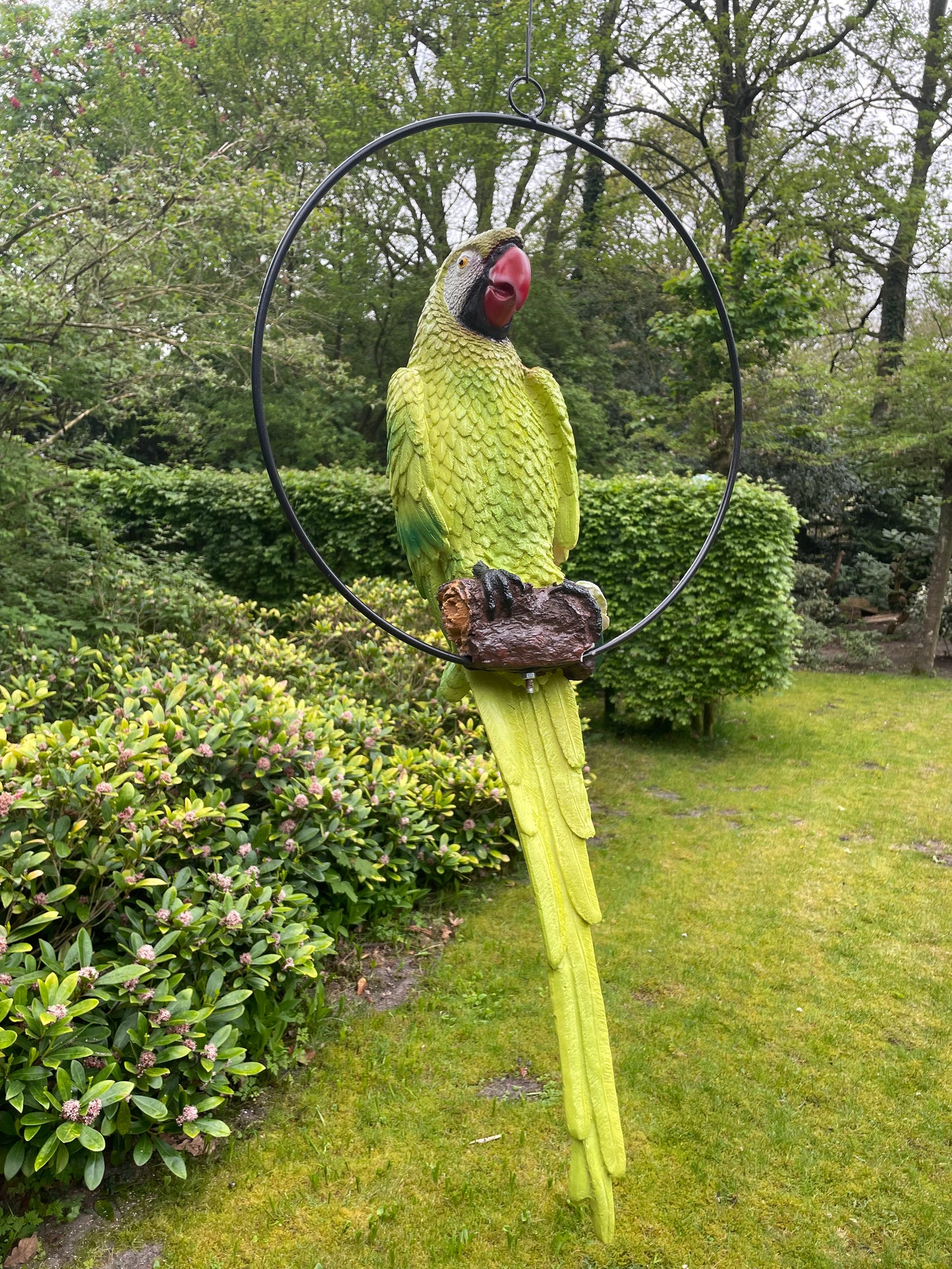 Beeld papegaai Groen tuin, zwembad, vijver, balkon 70cm