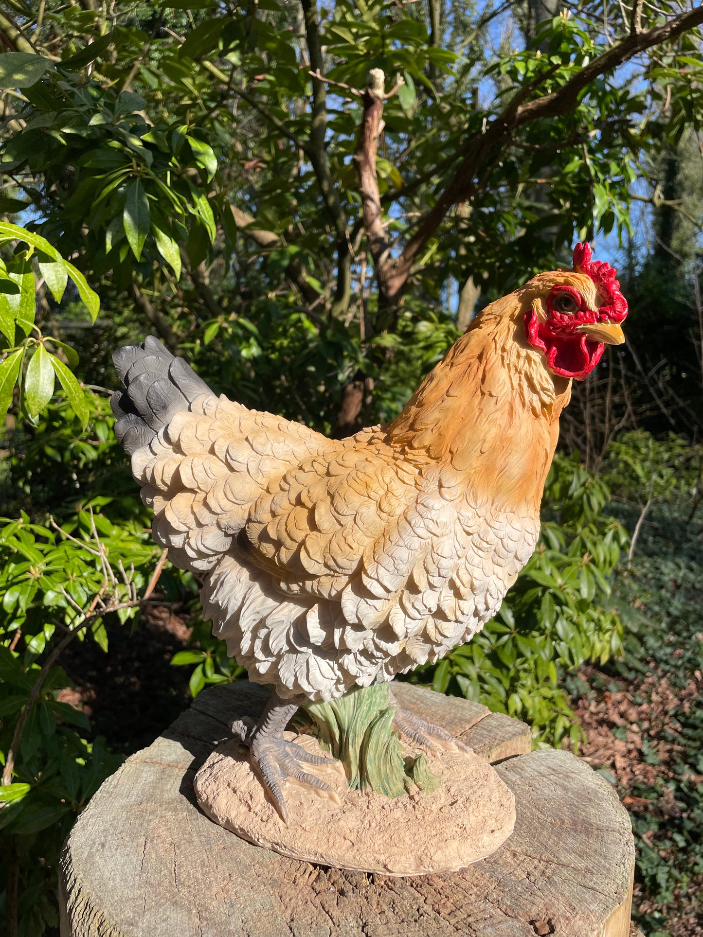 Kip staand, boerderij, tuin, vijver 33cm