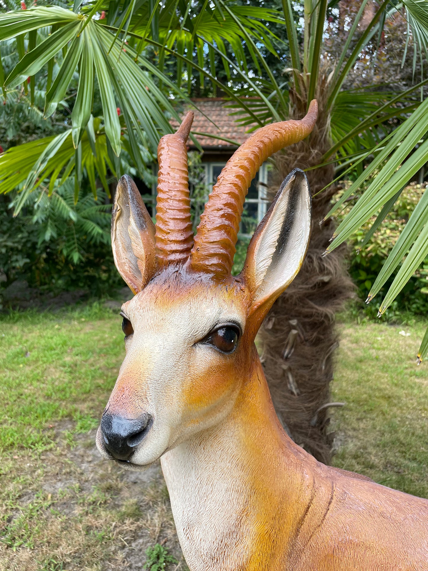 Tuinbeeld antilope , gazon, tuin, dierentuin, 130cm