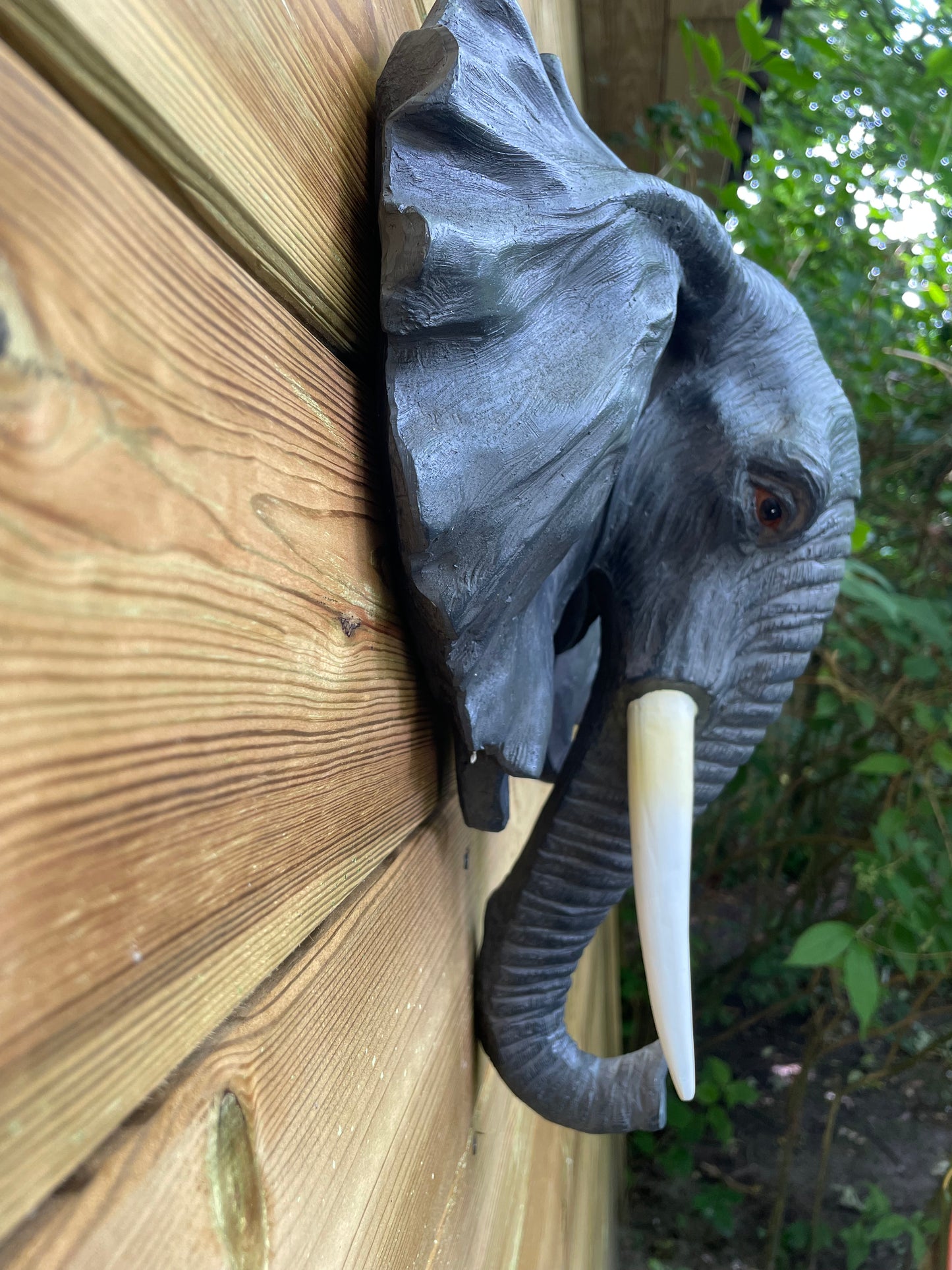 Beeld schild wand olifant grijs tuin, dieren, dierentuin 30cm