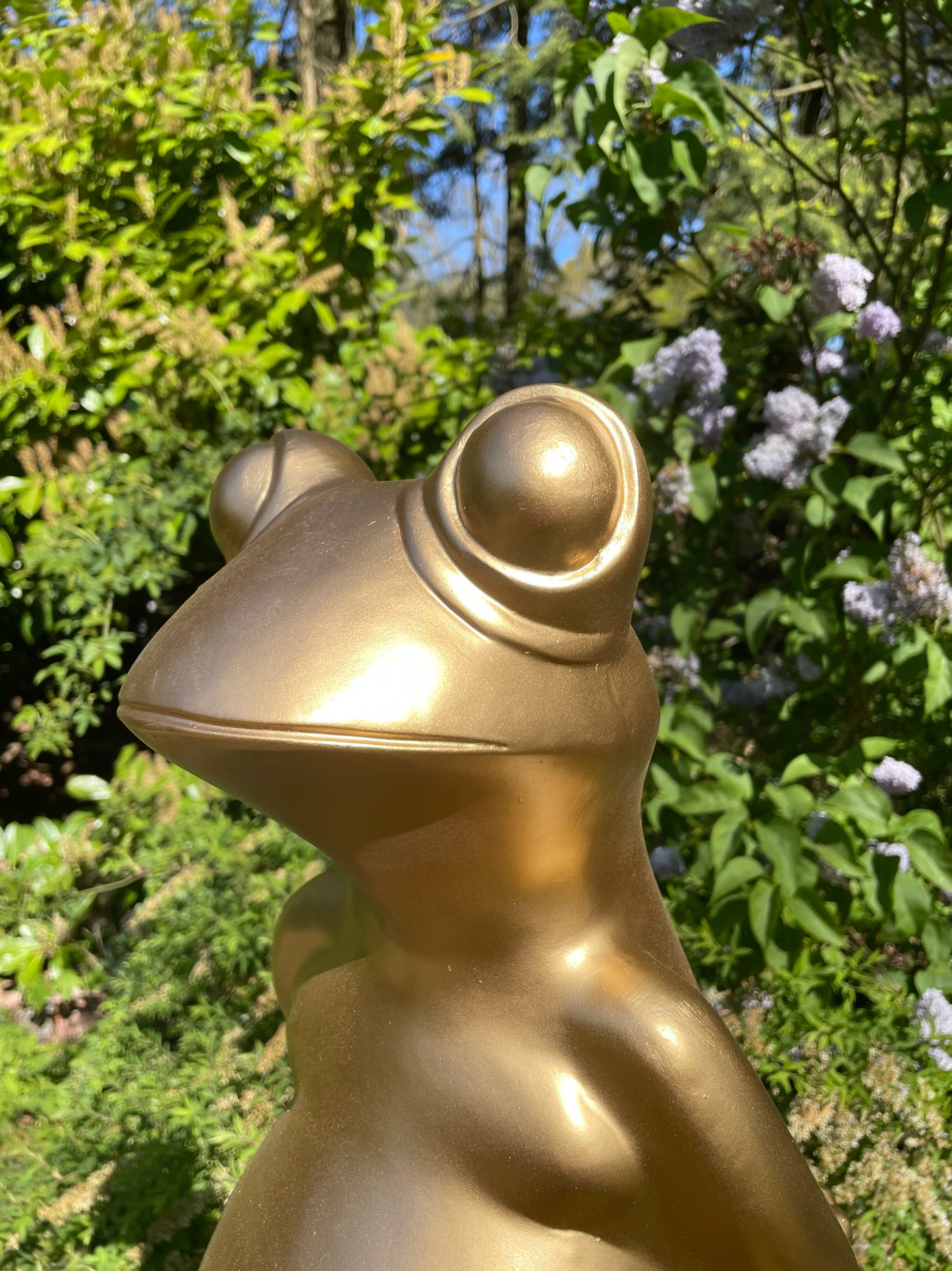 (Tuin)Beeld kikker goud, tuin, zen, zwembad, vijver yoga 80cm
