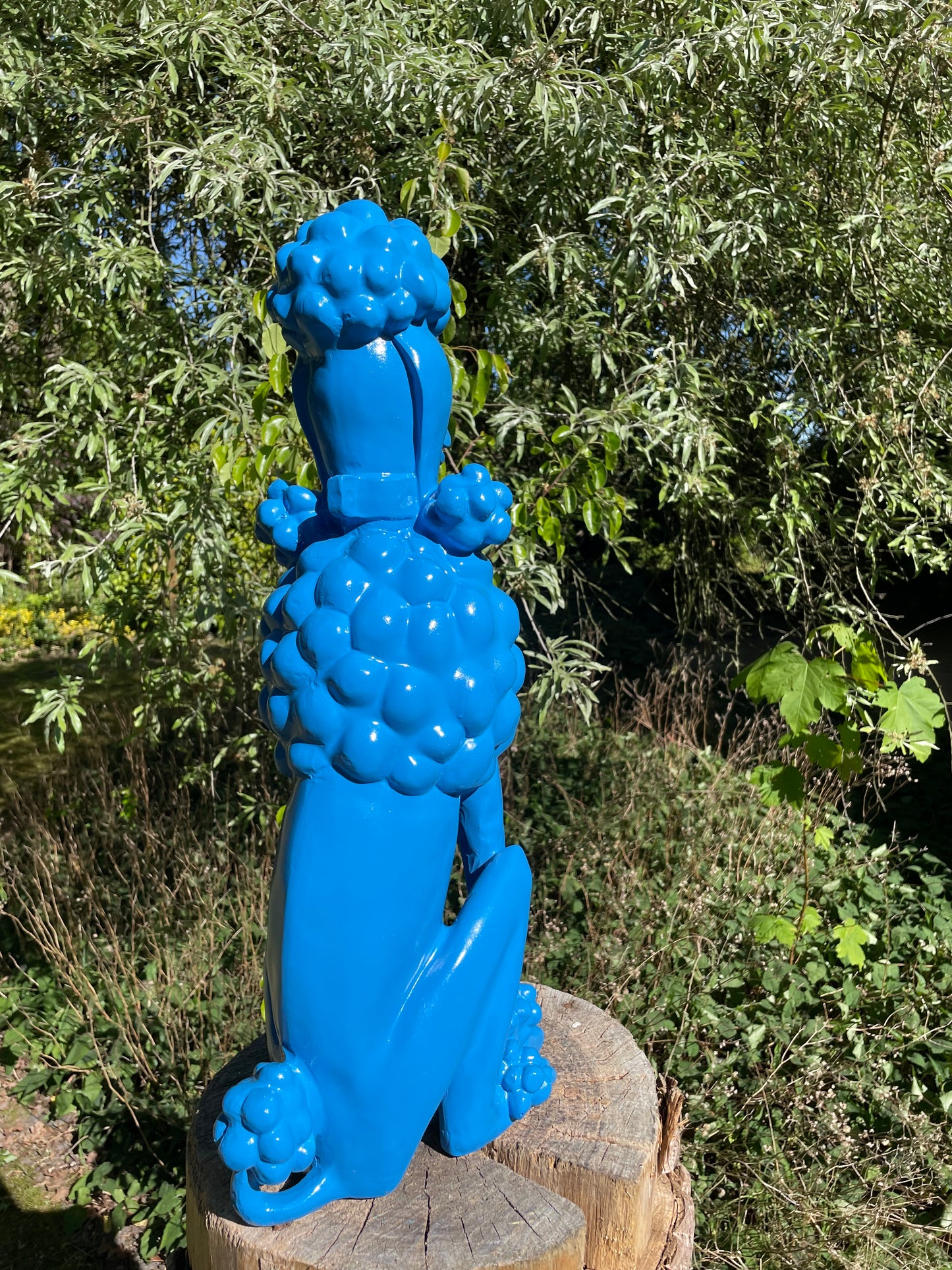 hond poedel blauw abstract, tuin, gazon  60cm