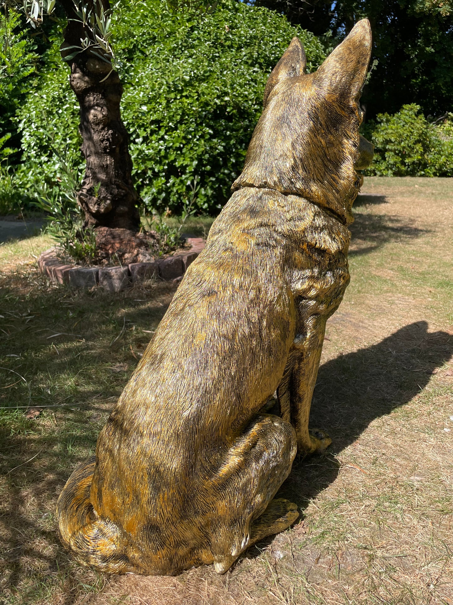 (Tuin)Beeld Duitse herder, honden, tuin, vijver, 75 cm