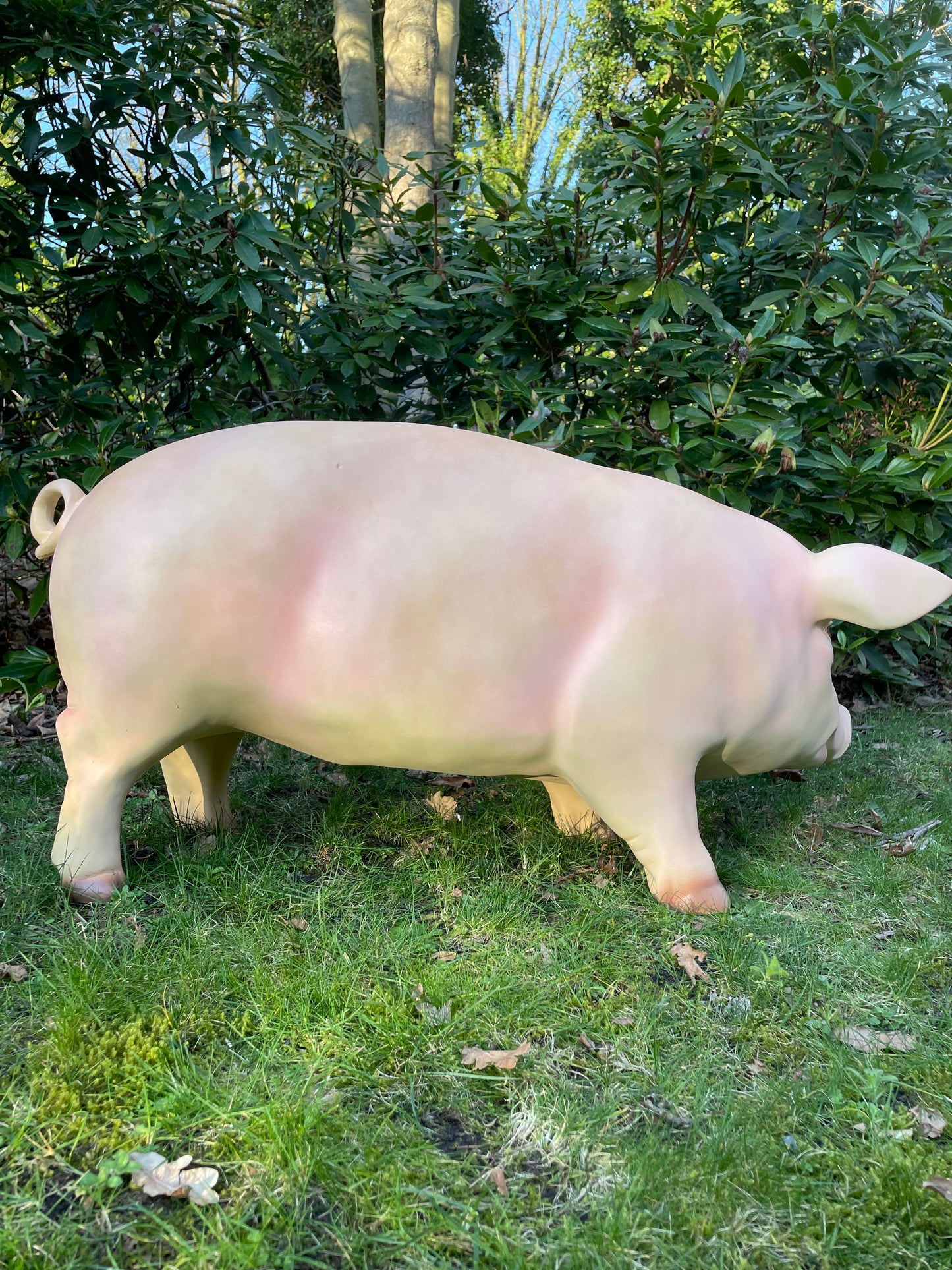 (Tuin)Beeld varken, tuin, gazon, manege, boerderij 100cm