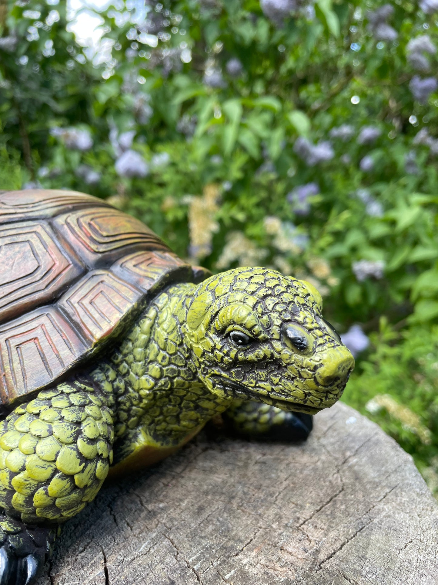 Beeld schildpad, baby gazon, tuin, vijver, 30 cm