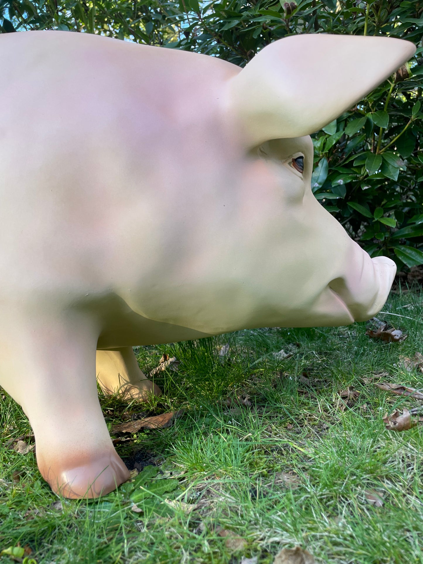 (Tuin)Beeld varken, tuin, gazon, manege, boerderij 100cm