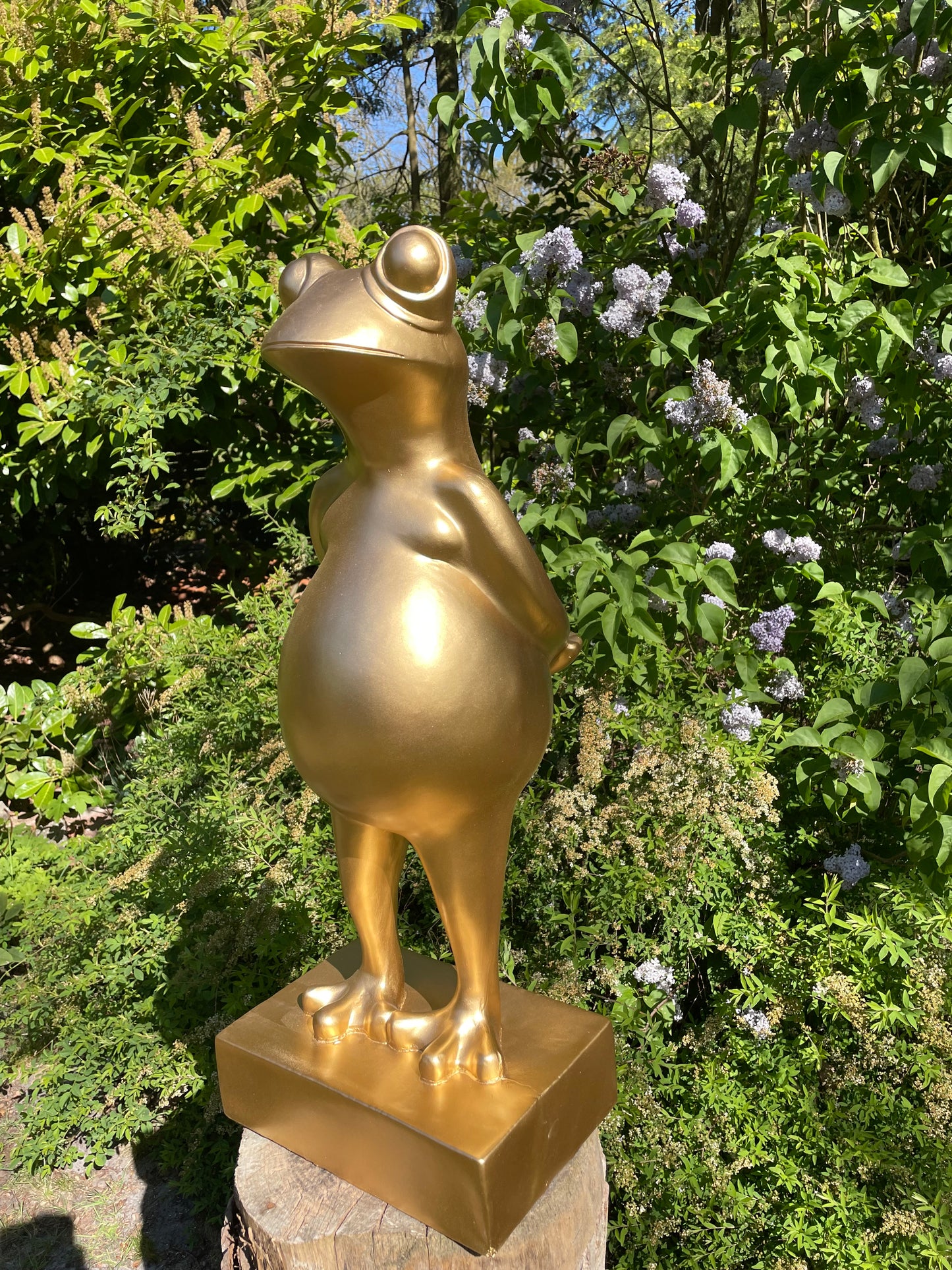 (Tuin)Beeld kikker goud, tuin, zen, zwembad, vijver yoga 80cm