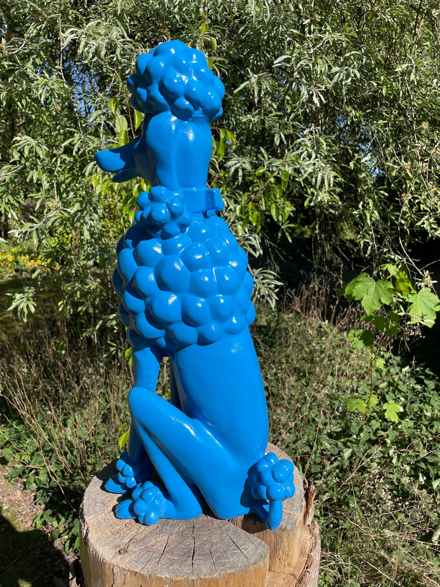 hond poedel blauw abstract, tuin, gazon  60cm