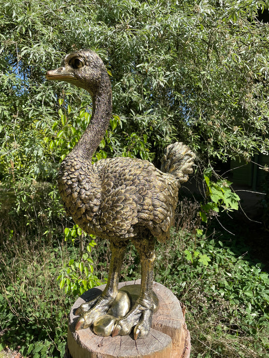 Beeld Struisvogel middel, gazon, tuin, dierentuin 70cm