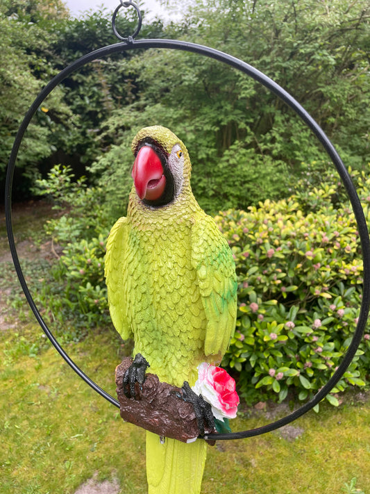 Beeld papegaai Groen tuin, zwembad, vijver, balkon 70cm