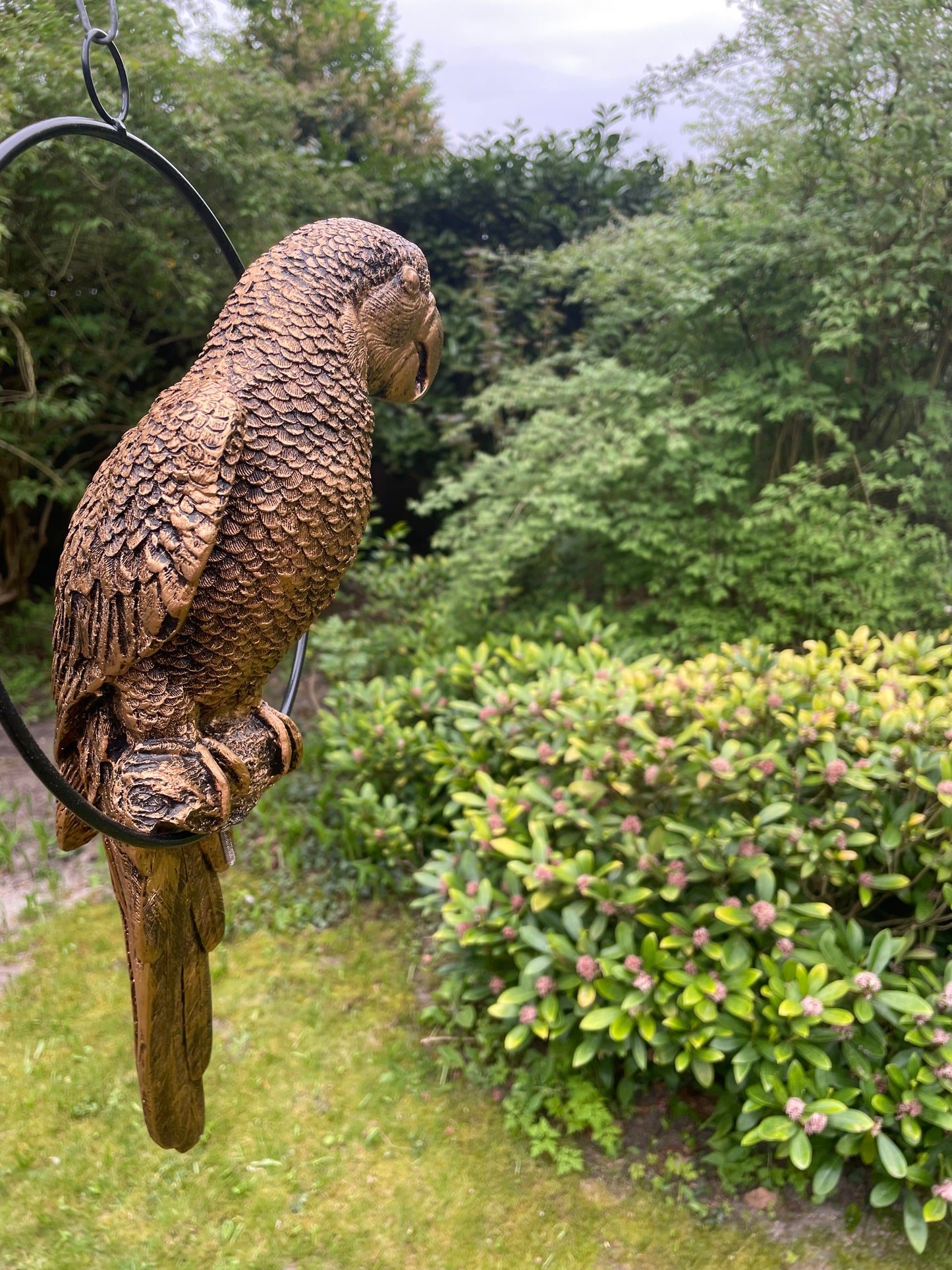 Beeld papegaai Goud, zwembad, vijver, tuin, balkon 50cm