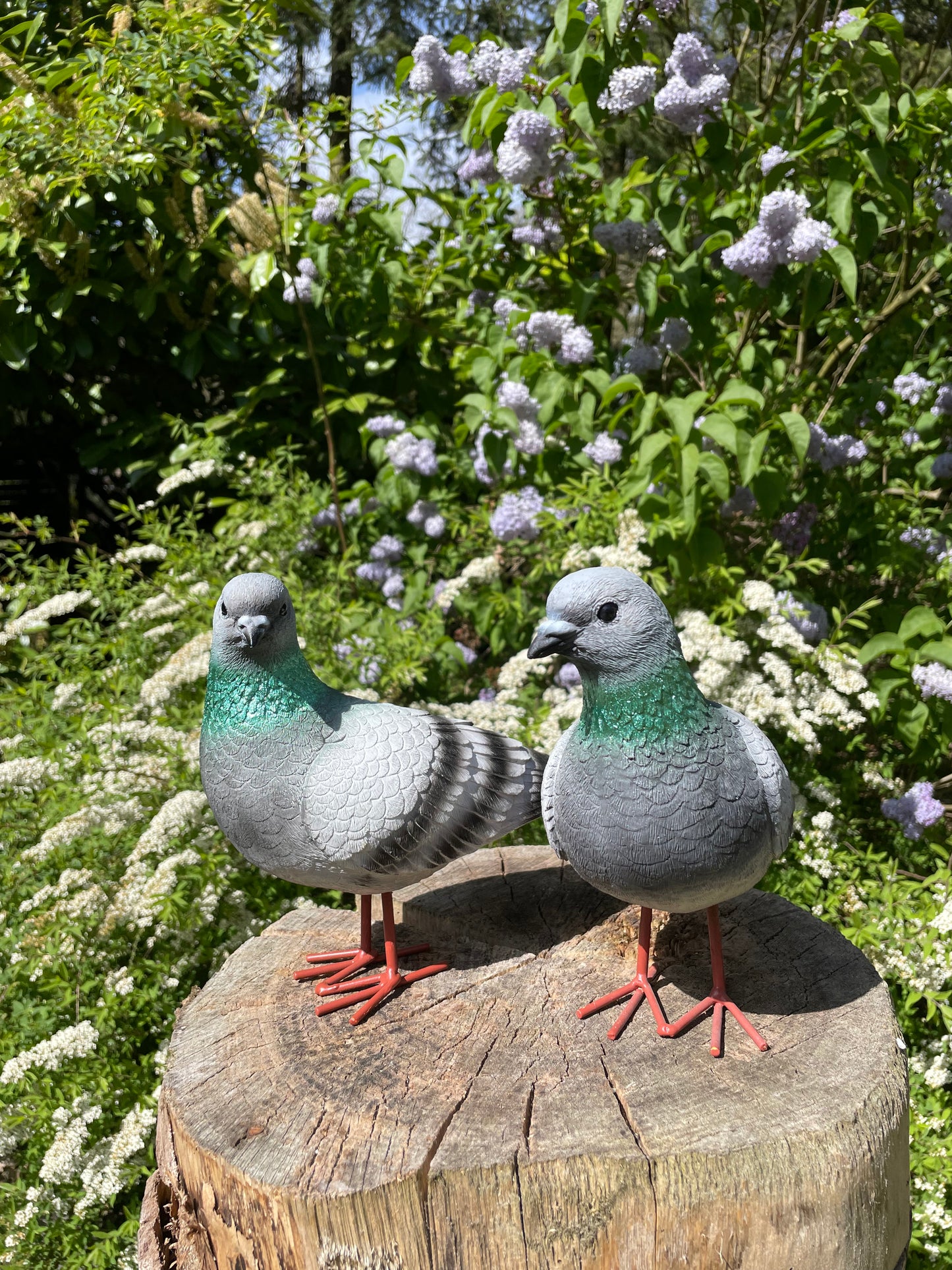 Beeld Postduiven grijs links tuin, vijver, boerderij, dierentuin 26cm