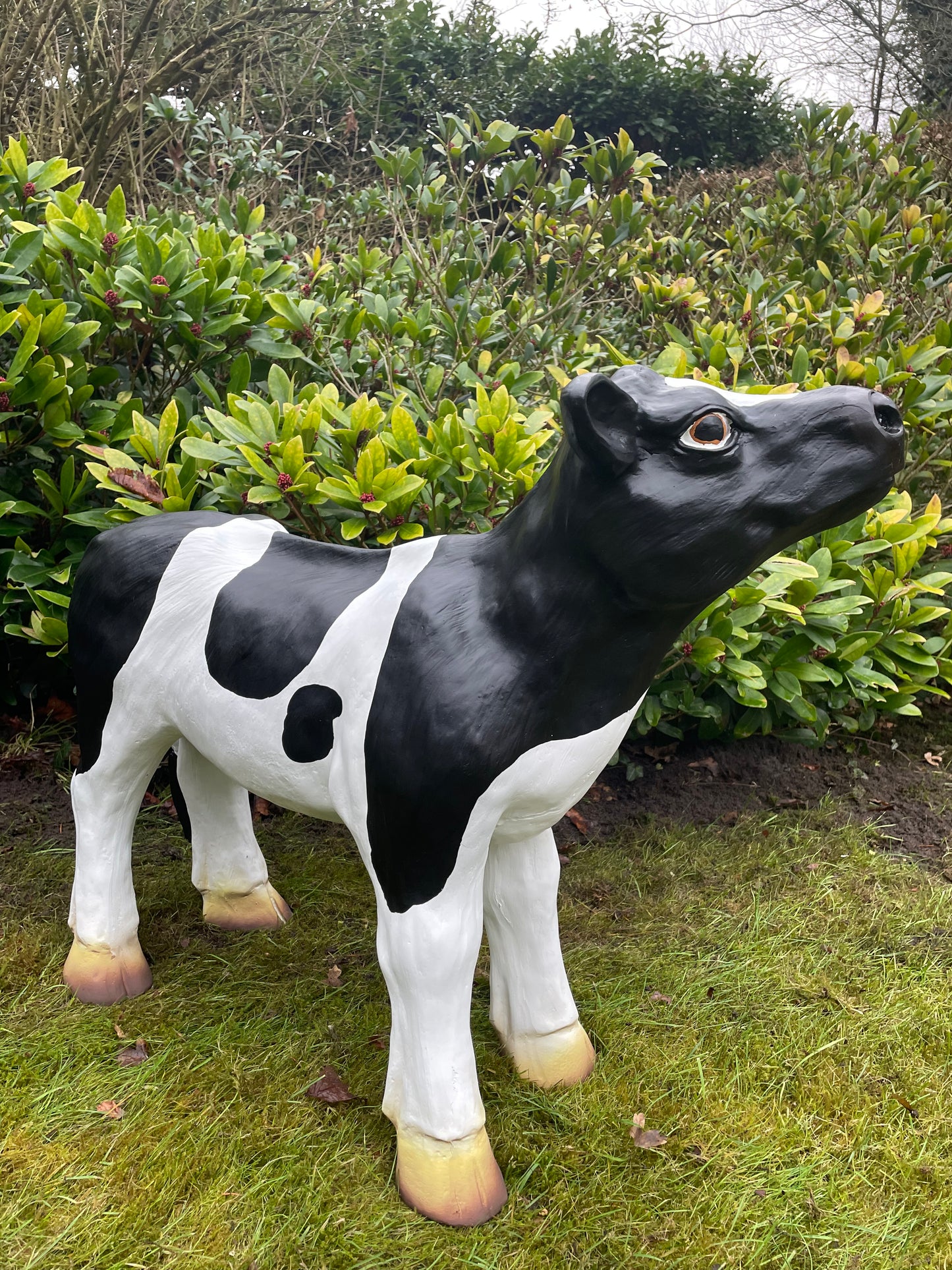 Kalf, koe, boerderij, gazon, tuin, boerderij, 70 cm
