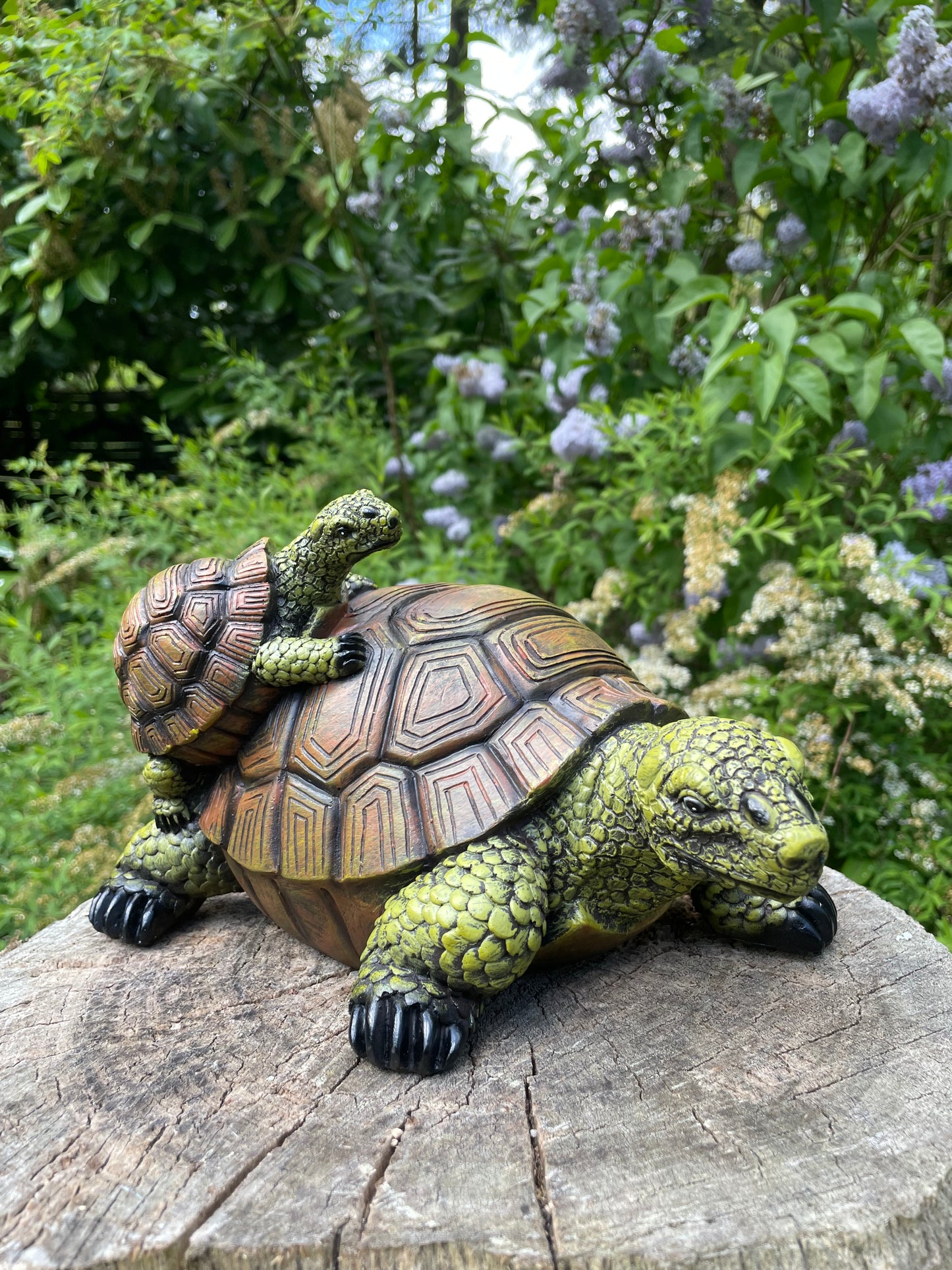 Beeld schildpad, baby gazon, tuin, vijver, 30 cm