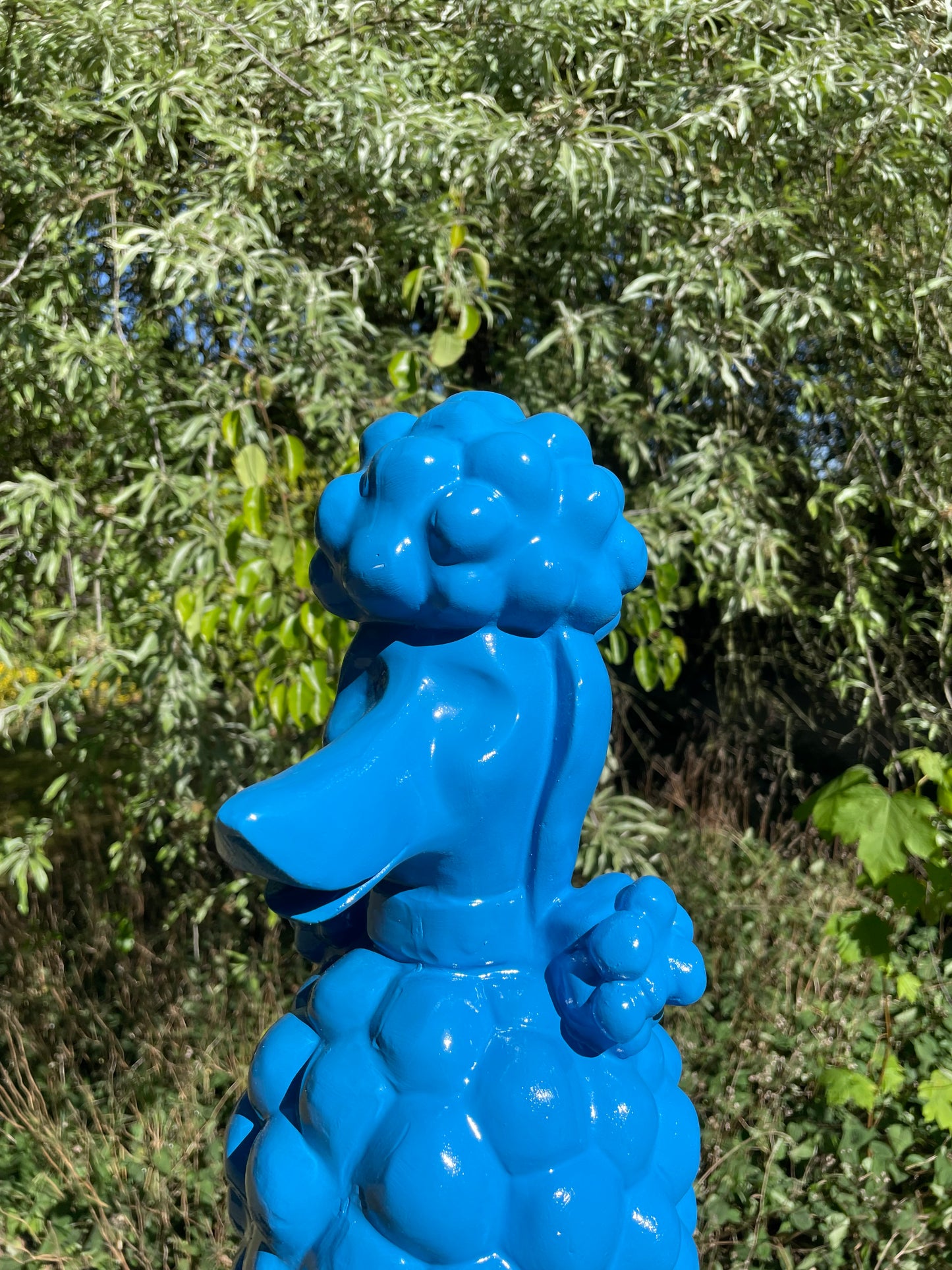 hond poedel blauw abstract, tuin, gazon  60cm