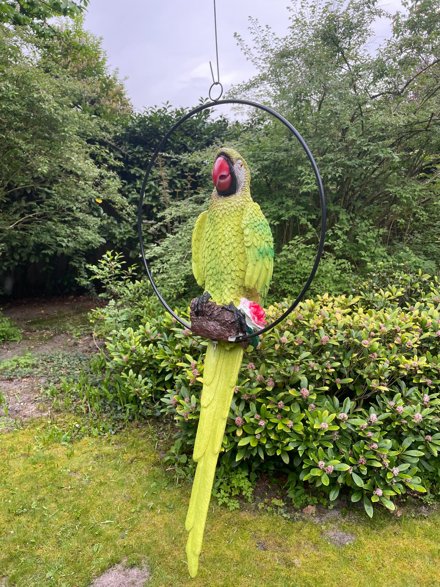 Beeld papegaai Groen tuin, zwembad, vijver, balkon 70cm