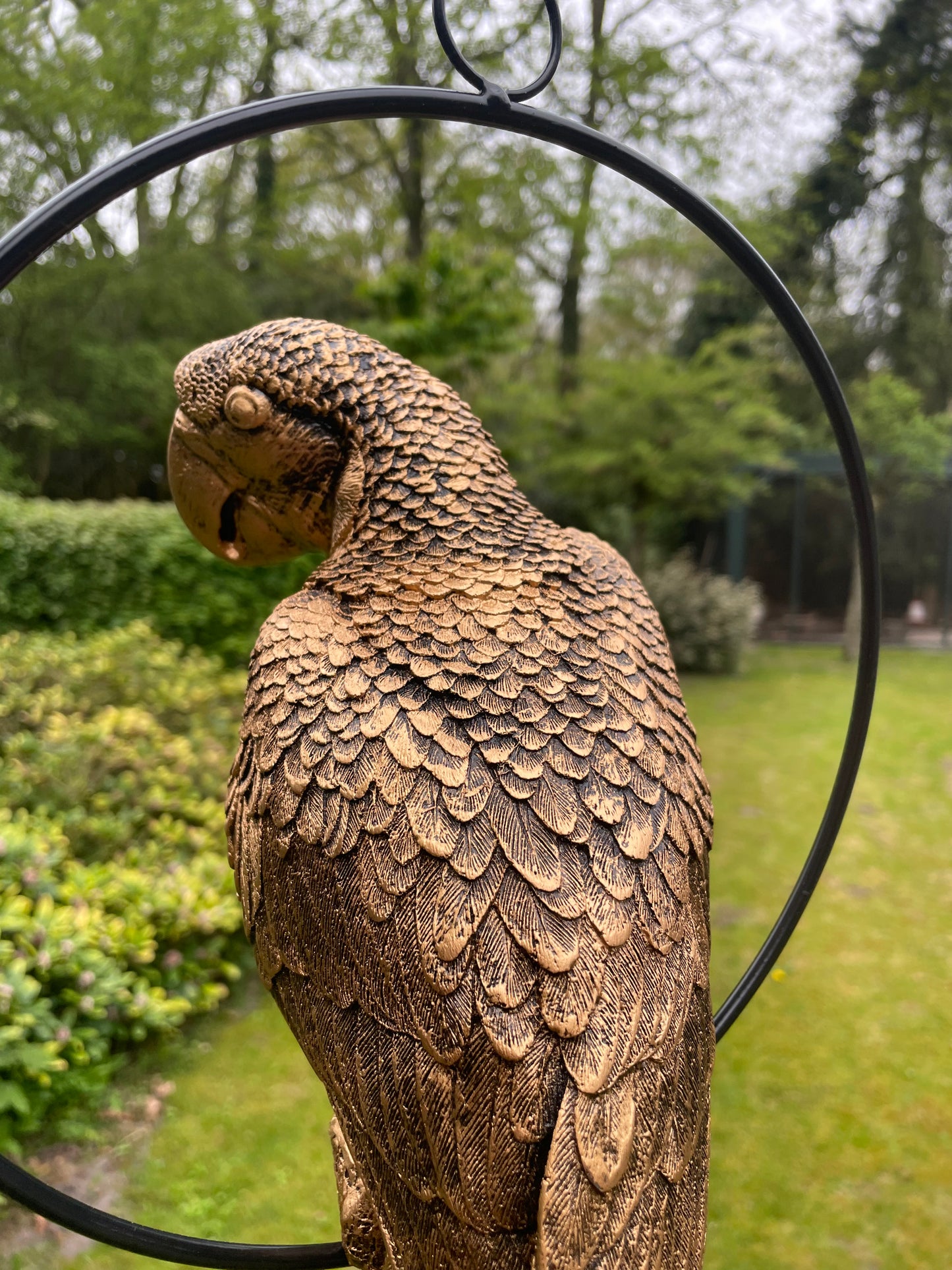 Beeld papegaai Goud, zwembad, vijver, tuin, balkon 50cm