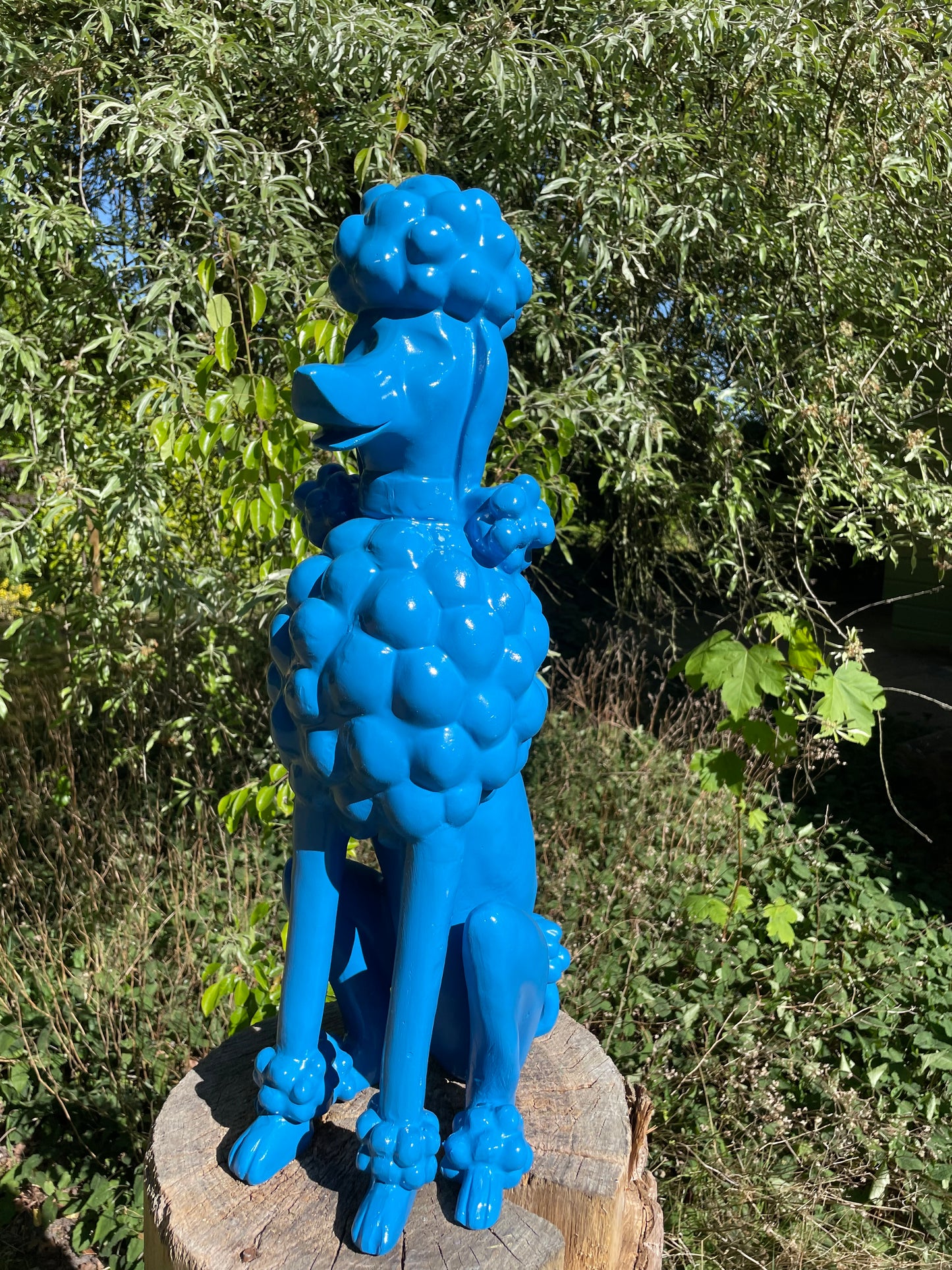 hond poedel blauw abstract, tuin, gazon  60cm
