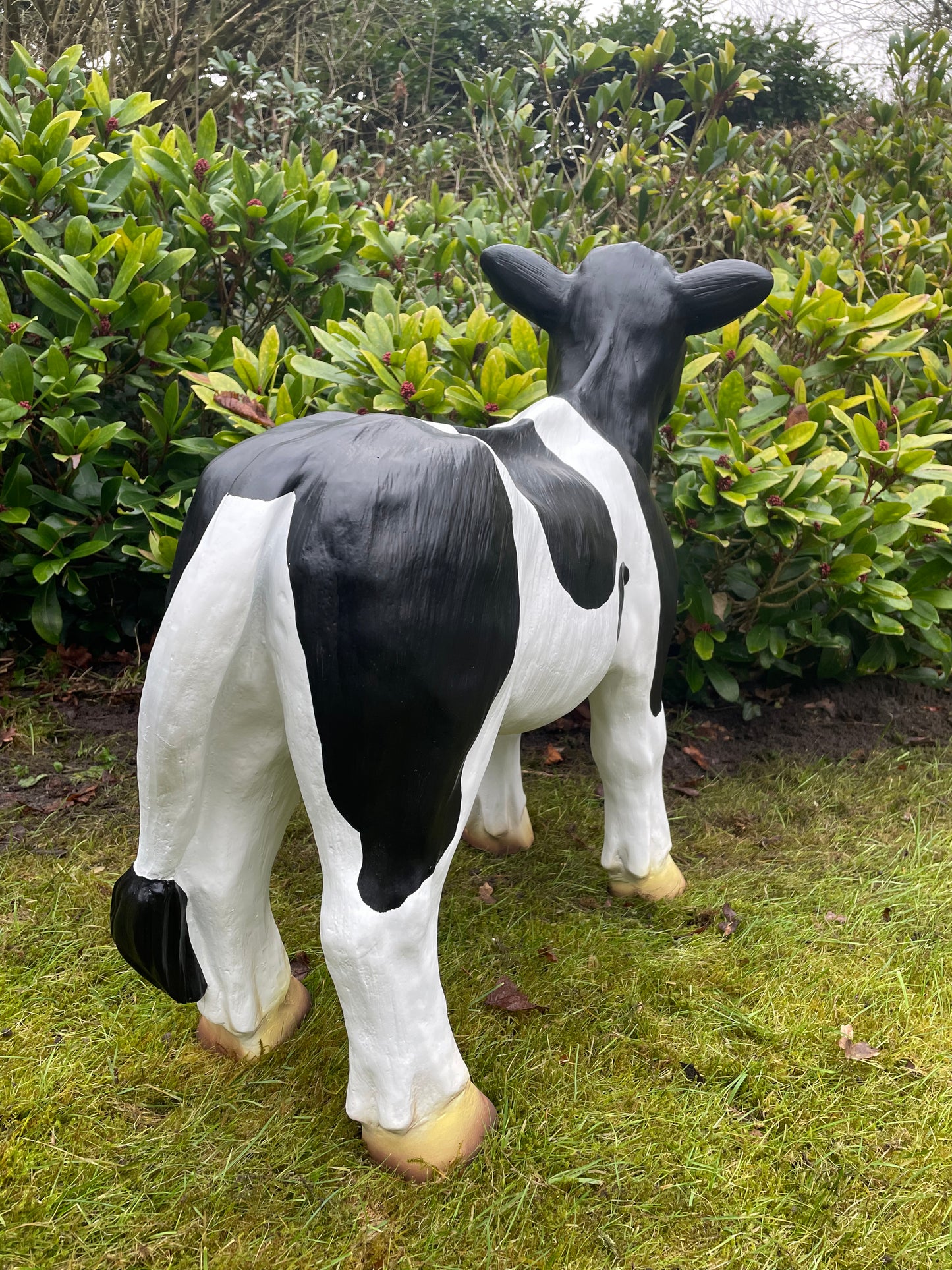 Kalf, koe, boerderij, gazon, tuin, boerderij, 70 cm