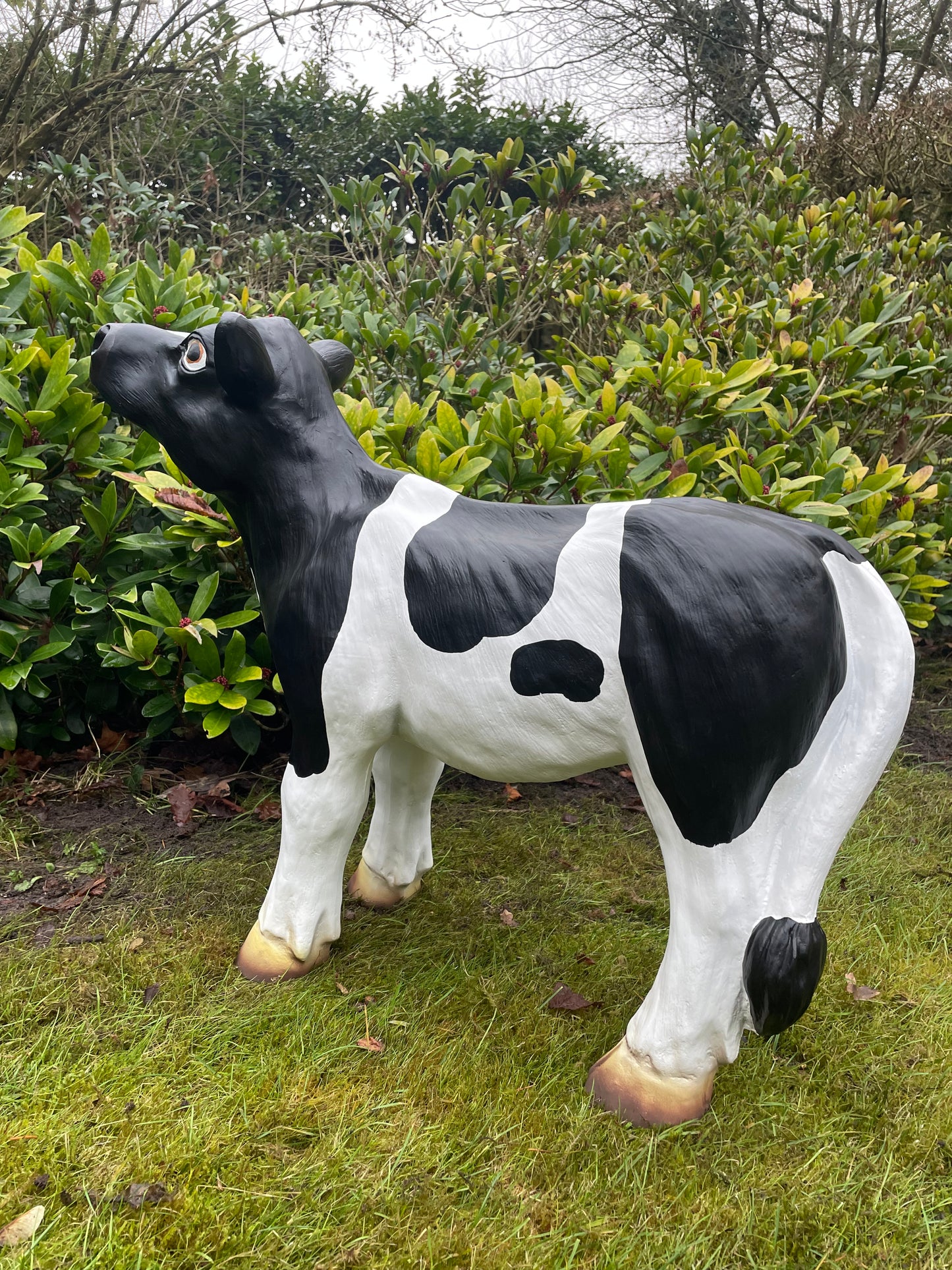 Kalf, koe, boerderij, gazon, tuin, boerderij, 70 cm