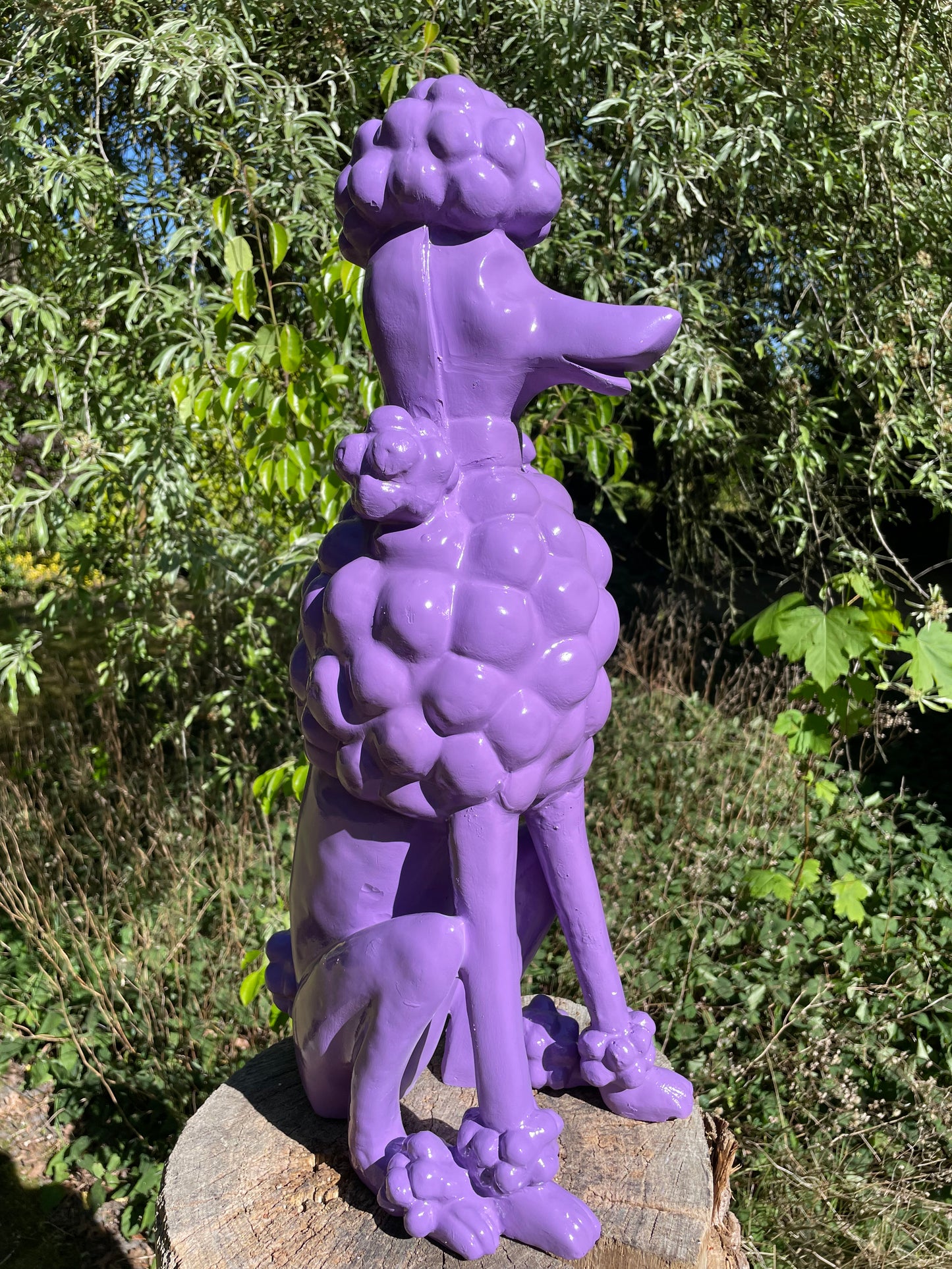 hond poedel Paars abstract, tuin, gazon  60cm