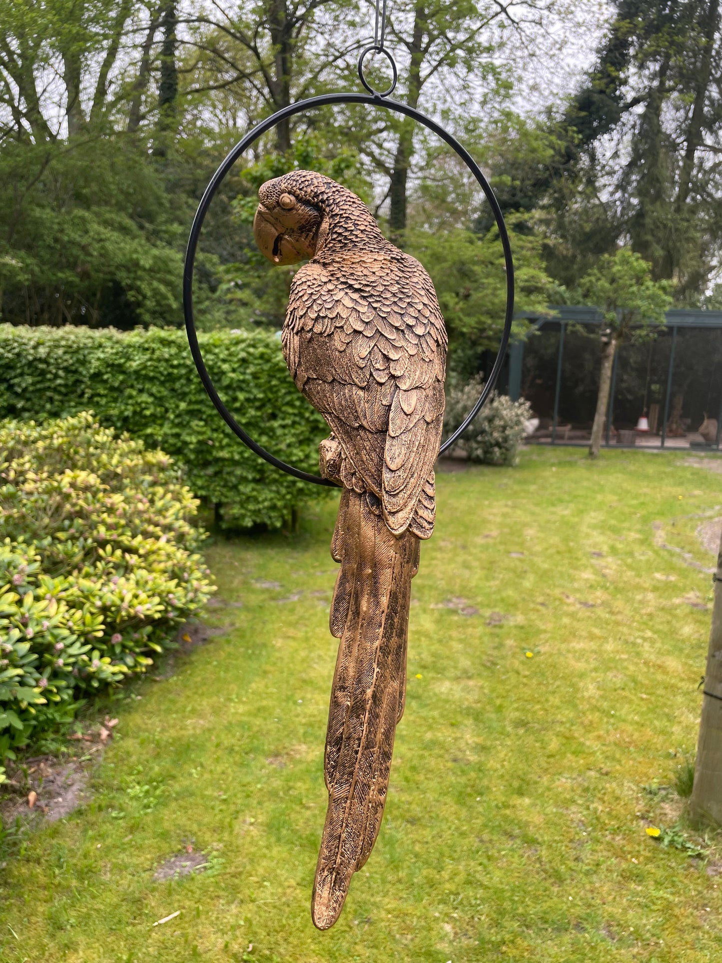 Beeld papegaai Goud, zwembad, vijver, tuin, balkon 50cm