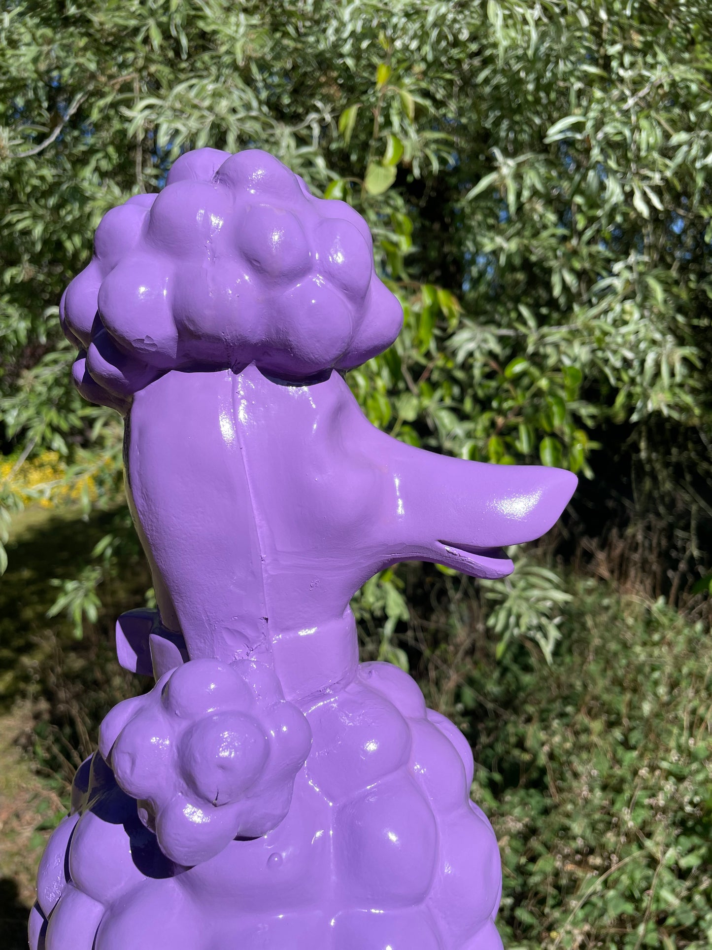 hond poedel Paars abstract, tuin, gazon  60cm