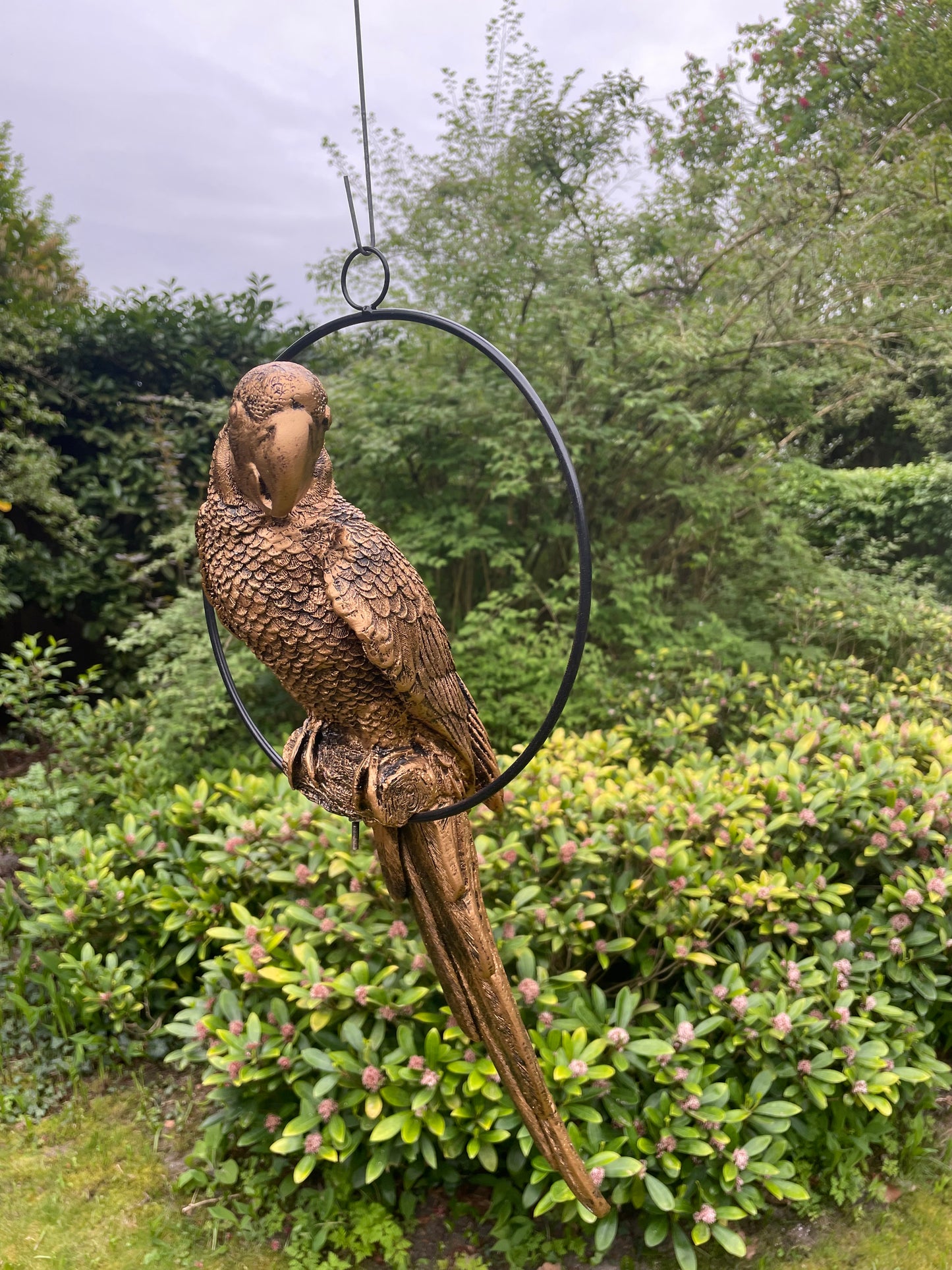 Beeld papegaai Goud, zwembad, vijver, tuin, balkon 50cm
