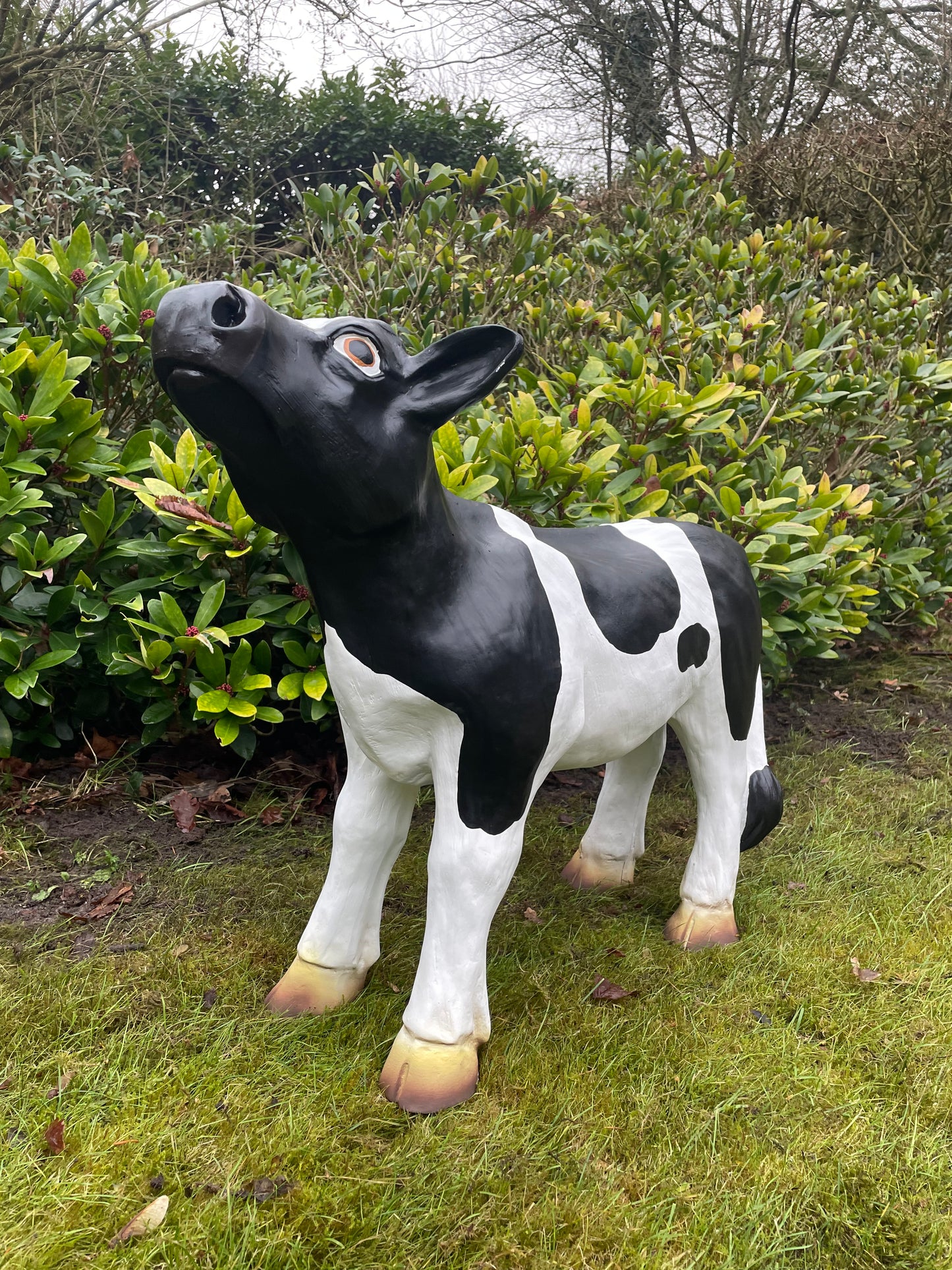 Kalf, koe, boerderij, gazon, tuin, boerderij, 70 cm
