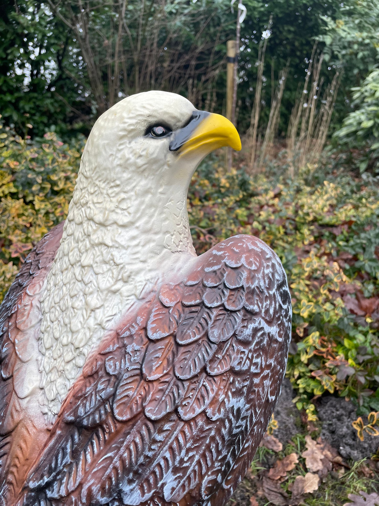 Arend, boerderij, gazon, tuin, boerderij, 65 cm