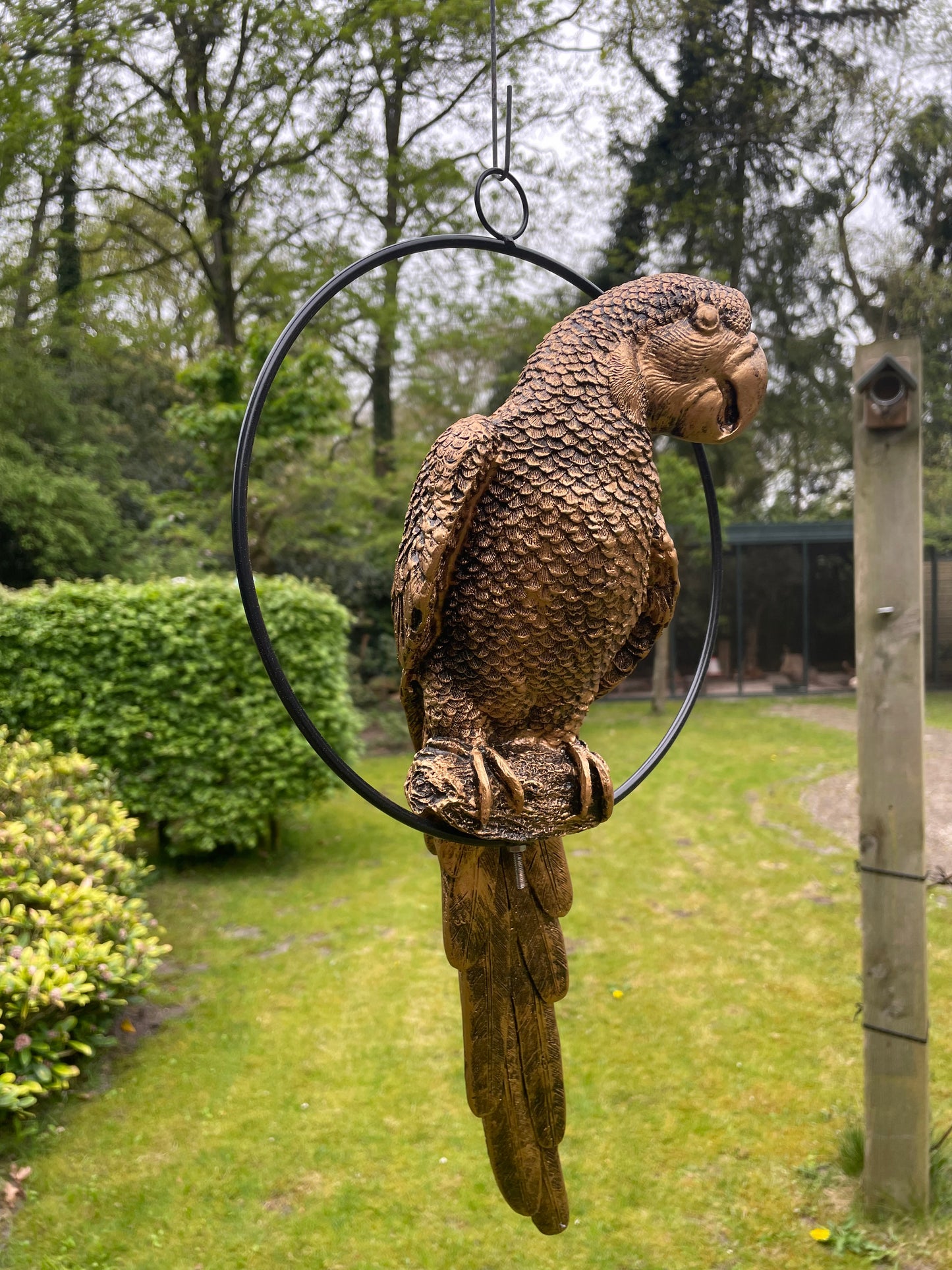 Beeld papegaai Goud, zwembad, vijver, tuin, balkon 50cm