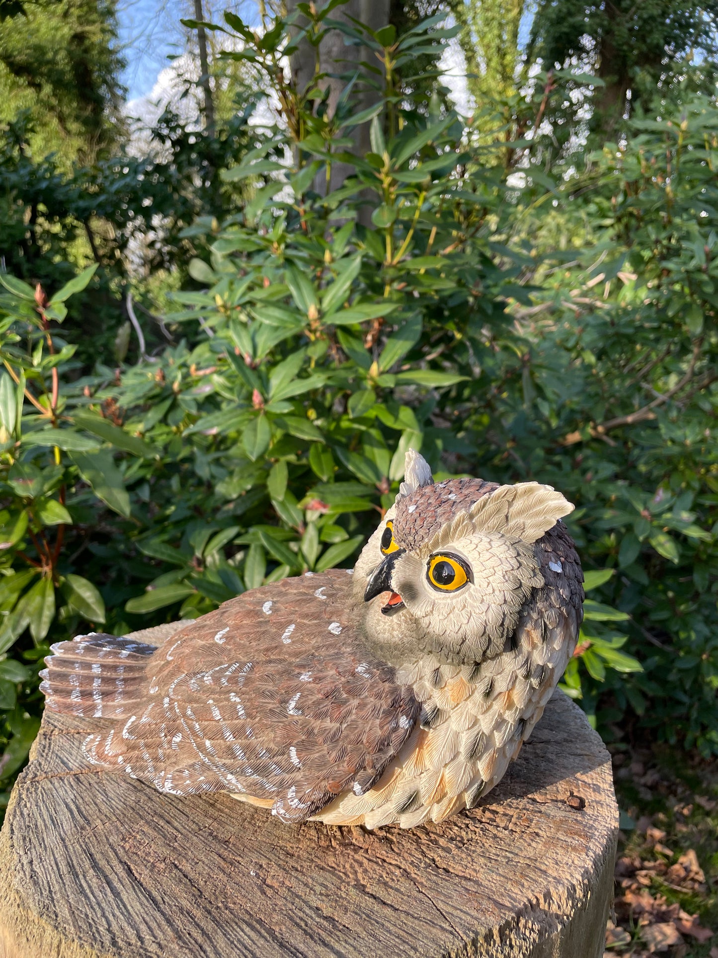 Beeld grijze uil, tuin, bomen, gazon, vijver 30cm
