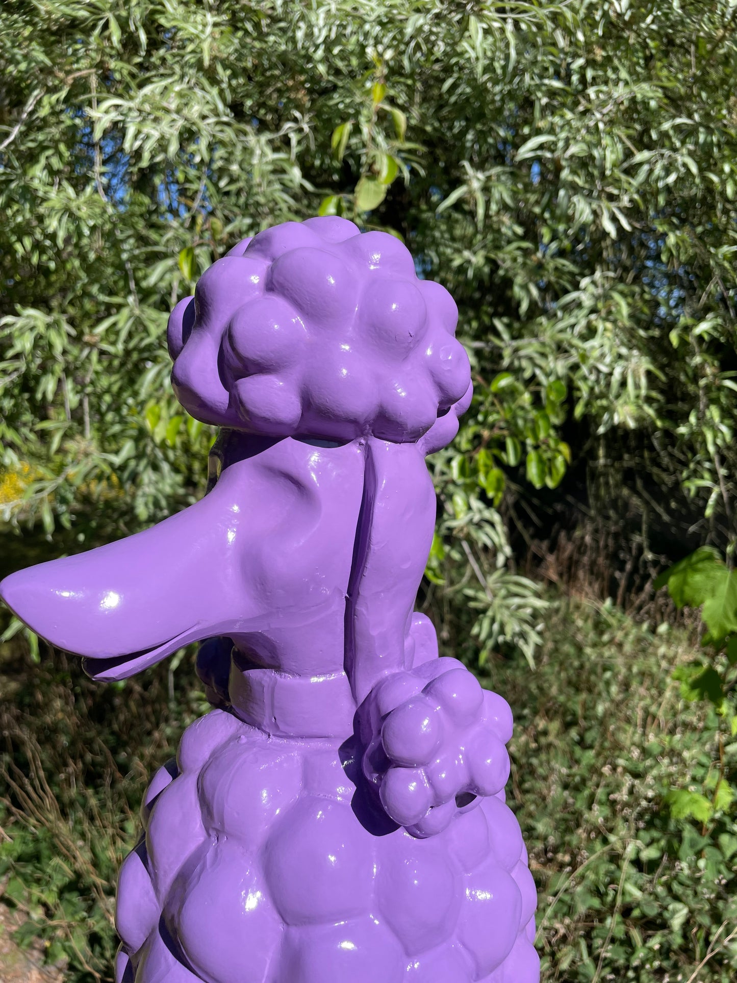 hond poedel Paars abstract, tuin, gazon  60cm