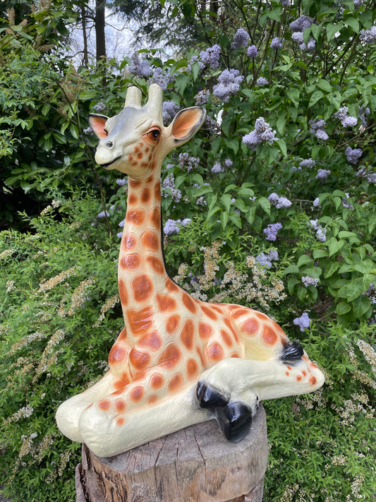Giraf, giraffe, tuin, dieren, zwanger 60cm