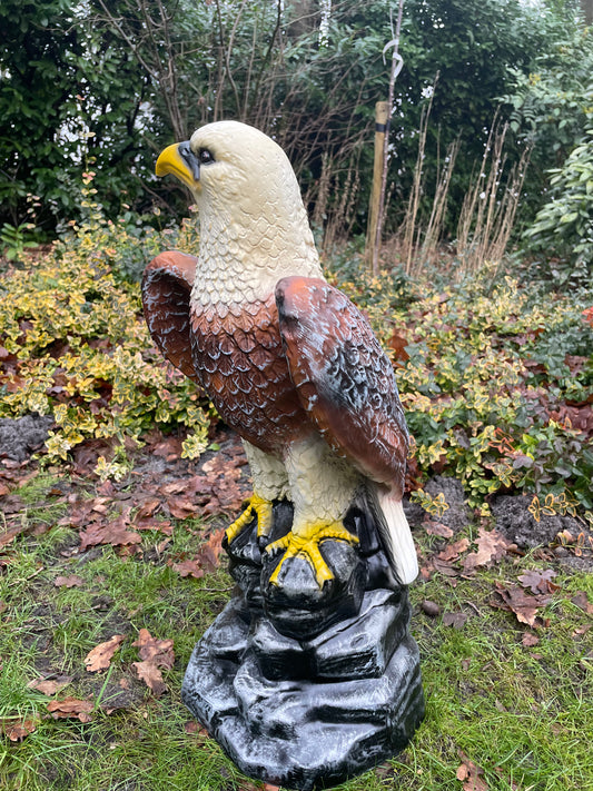 Beeld Arend groot, gazon, tuin, vijver, dierentuin 55cm