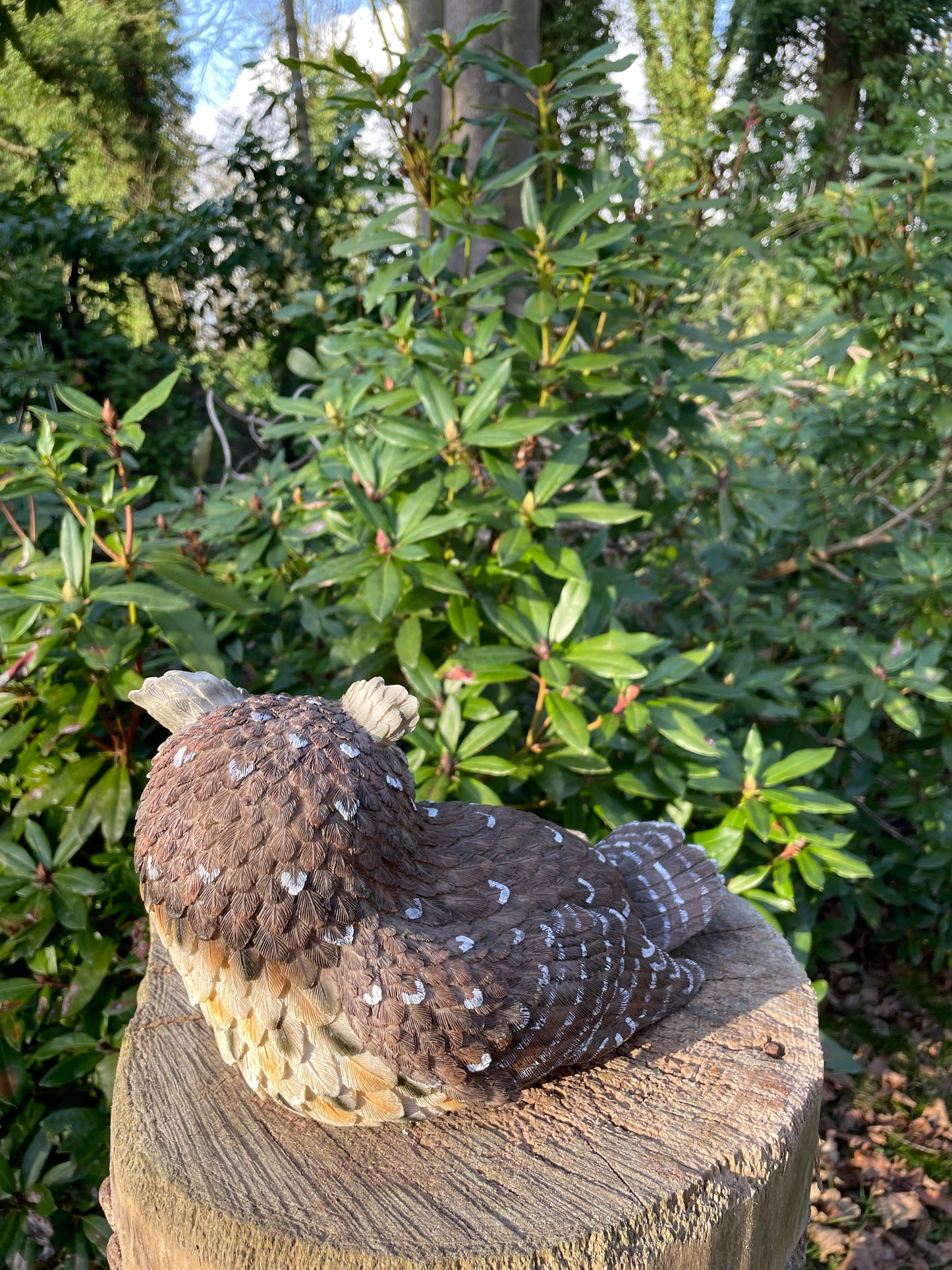 Beeld grijze uil, tuin, bomen, gazon, vijver 30cm
