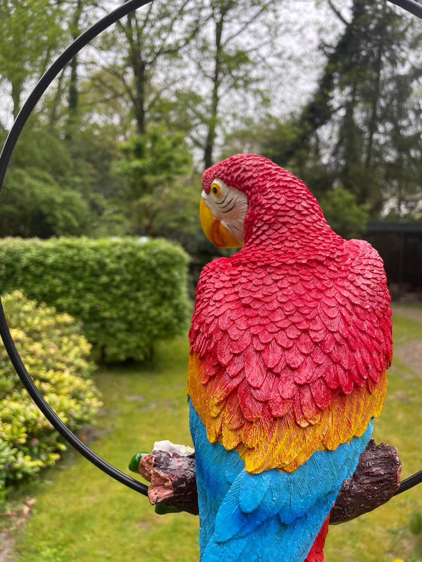 Beeld papegaai rood tuin, zwembad, vijver, balkon 50cm