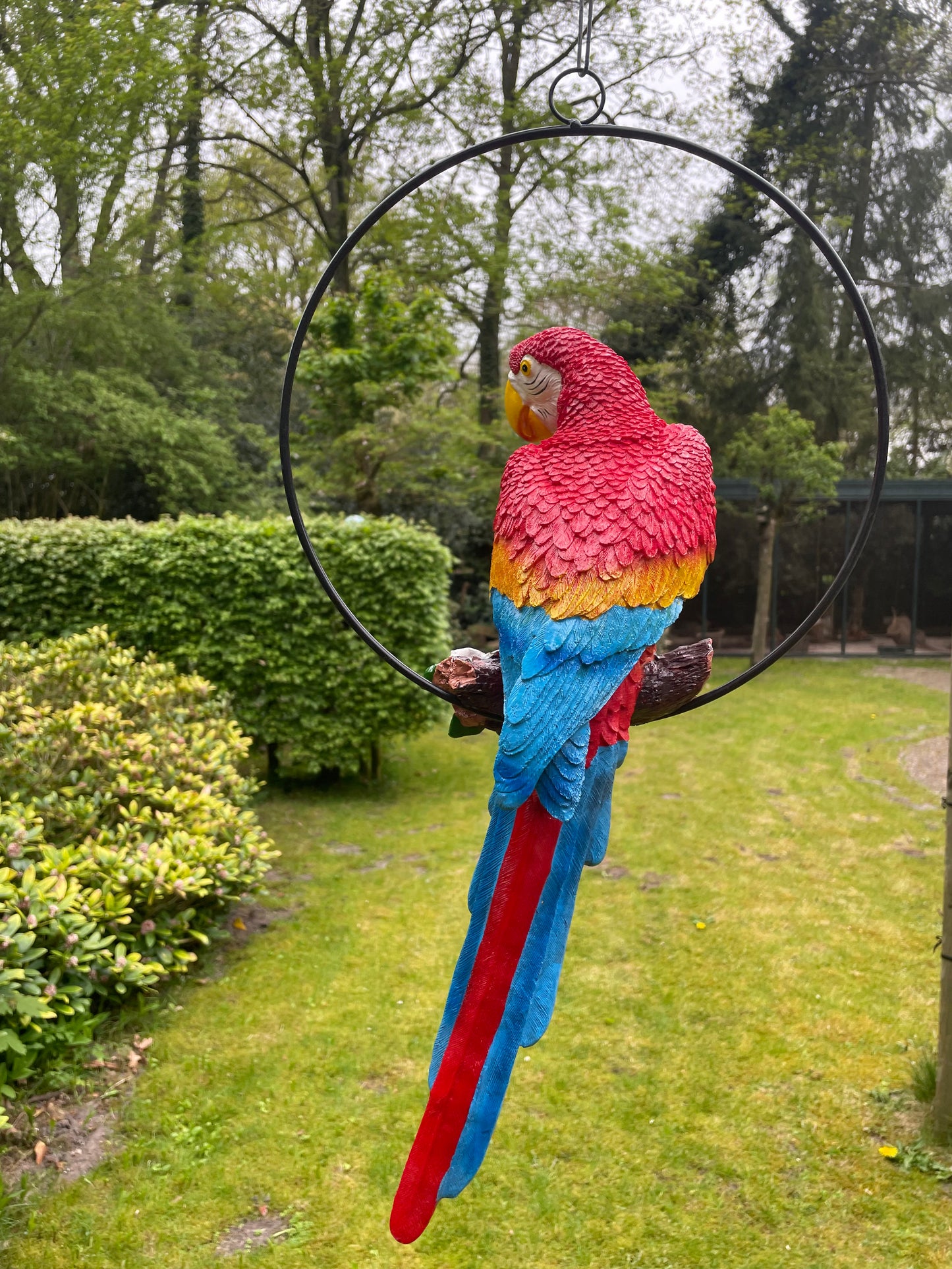 Beeld papegaai rood tuin, zwembad, vijver, balkon 50cm