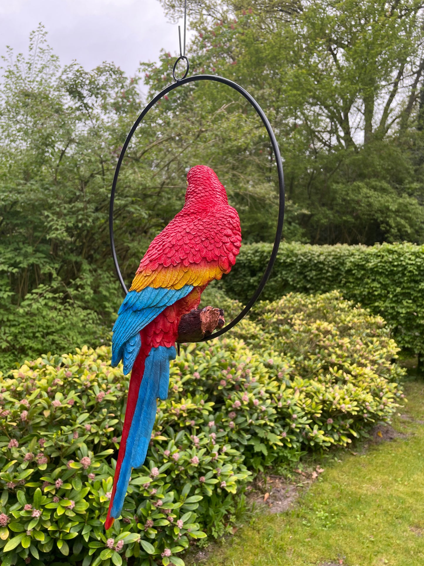 Beeld papegaai rood tuin, zwembad, vijver, balkon 50cm