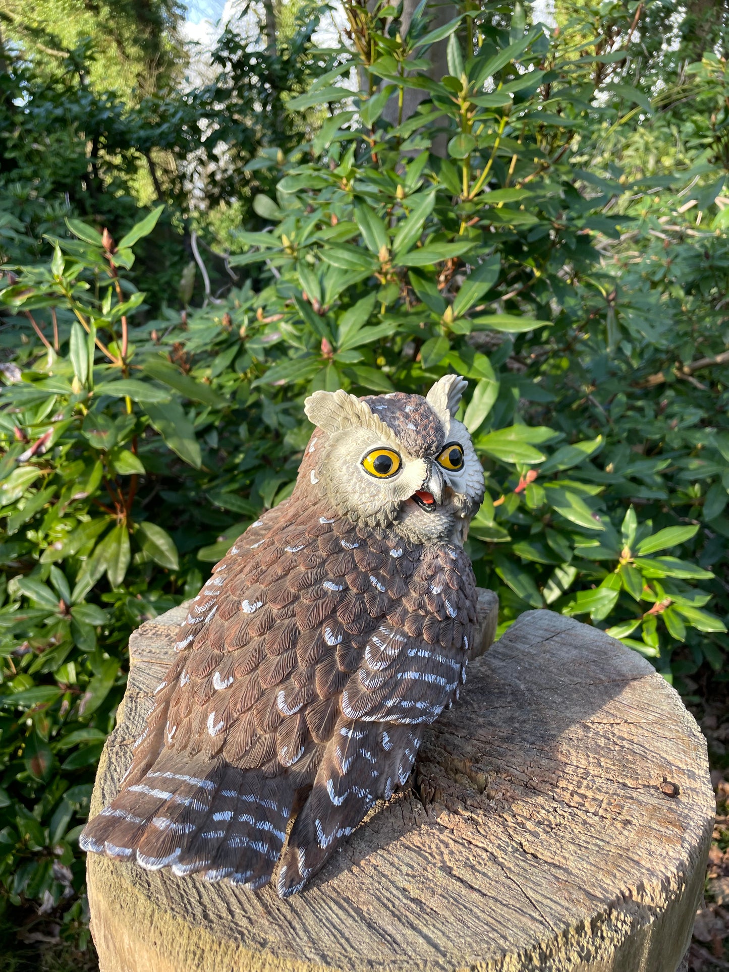Beeld grijze uil, tuin, bomen, gazon, vijver 30cm