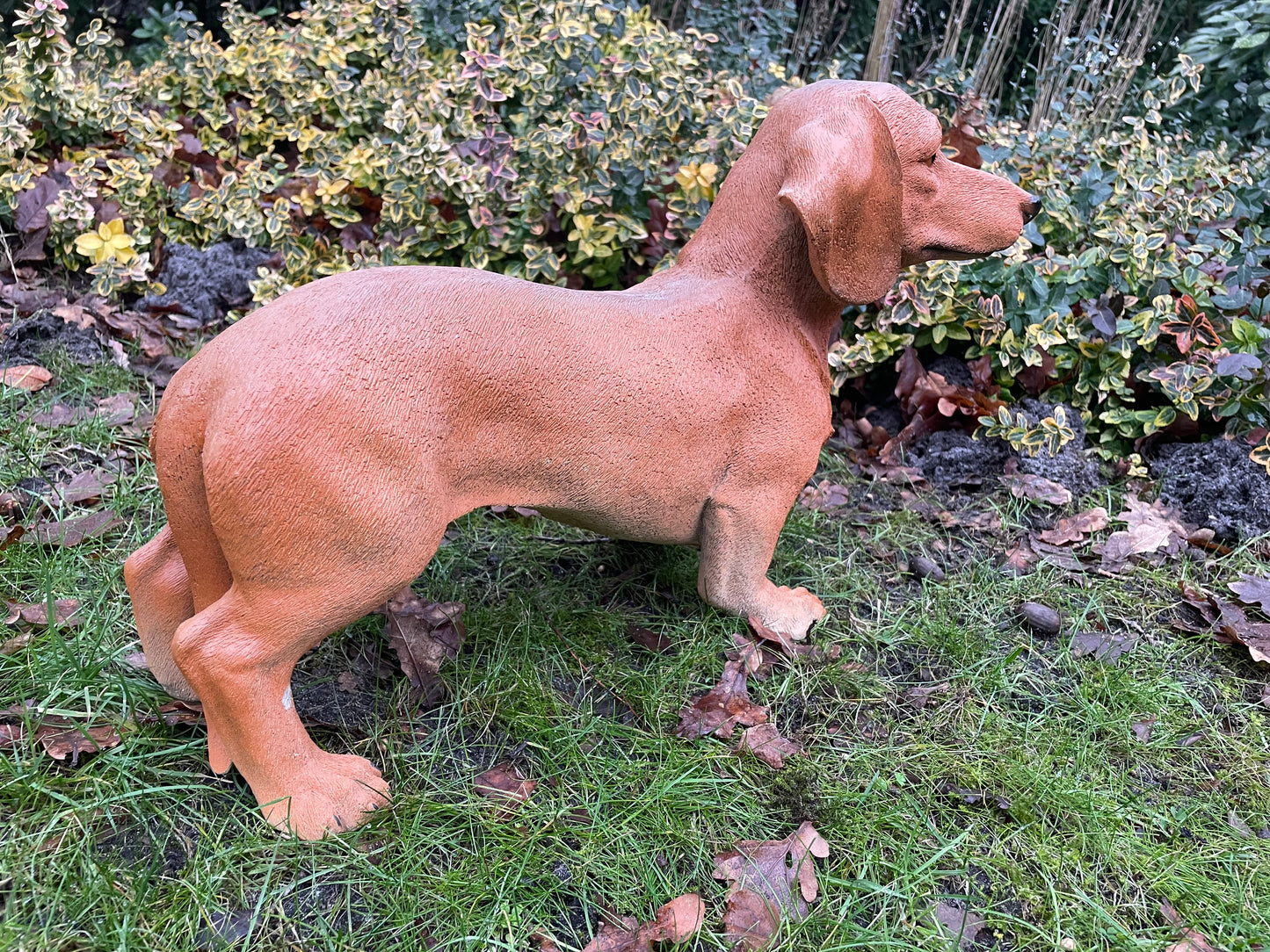Beeld grote teckel, tekkel, hond, tuin, gazon 50 cm