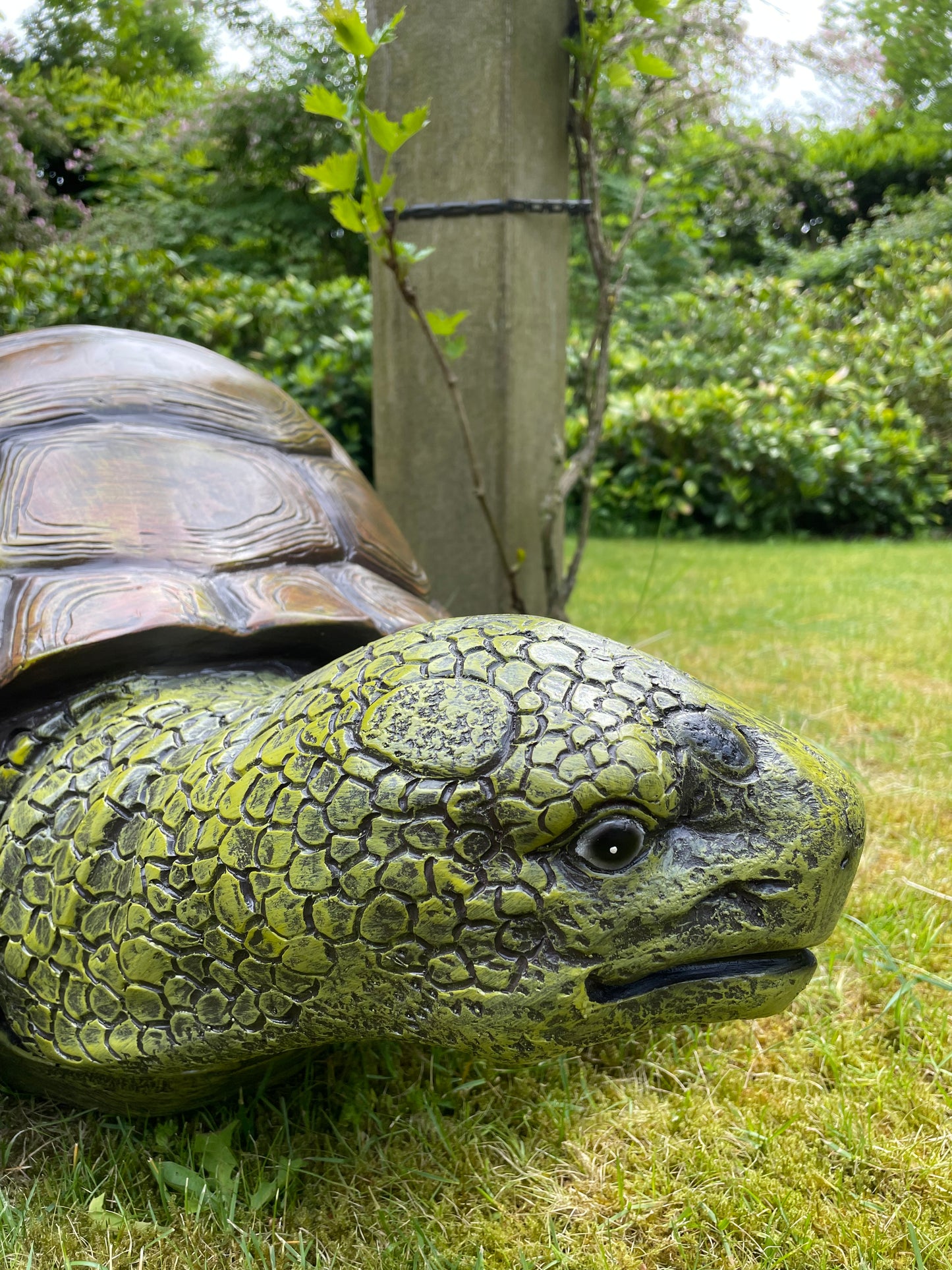 (Tuin)Beeld schildpad, gazon, tuin, vijver, 90 cm